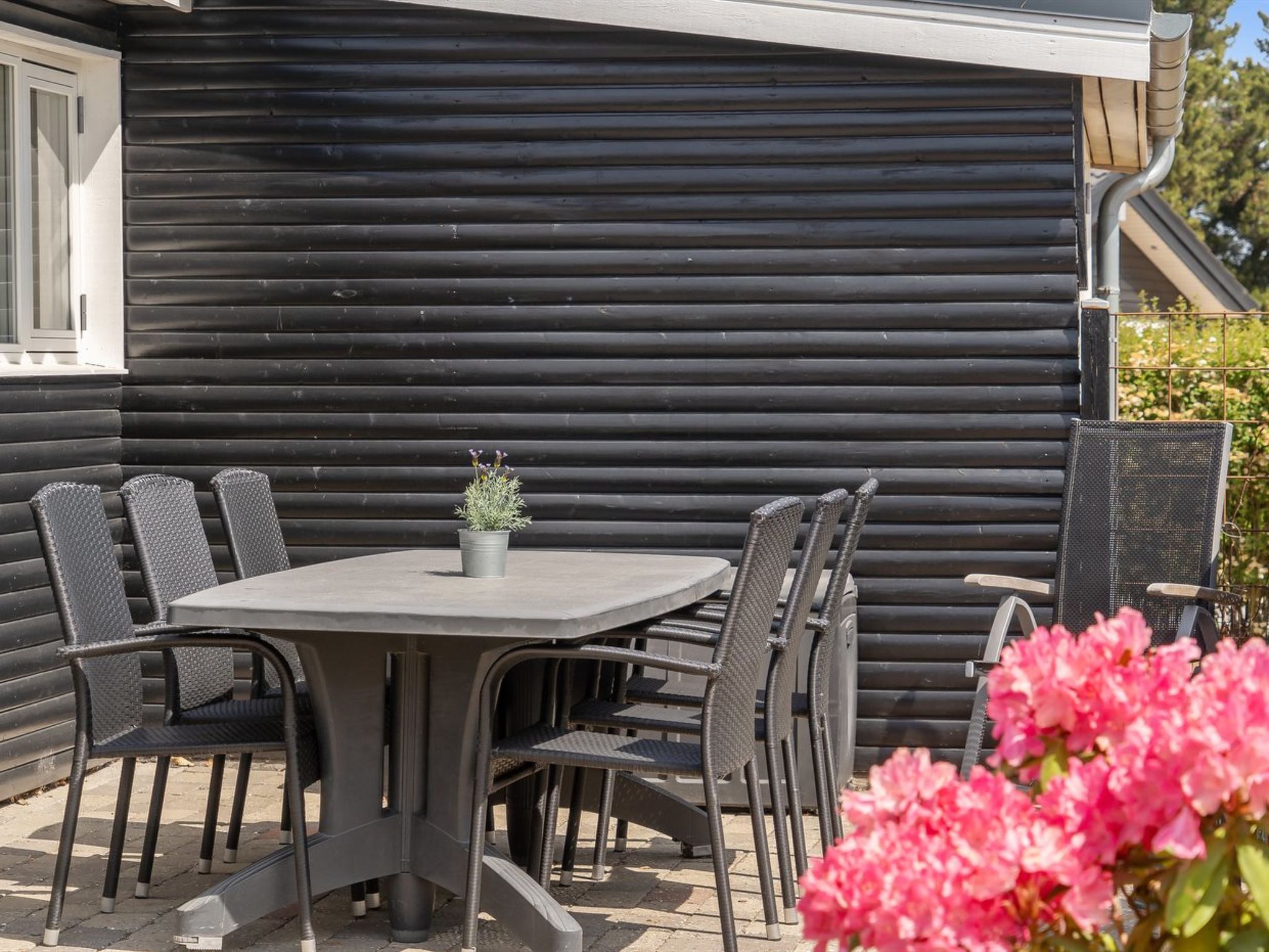 "Sari" - 250m from the sea - Buiten