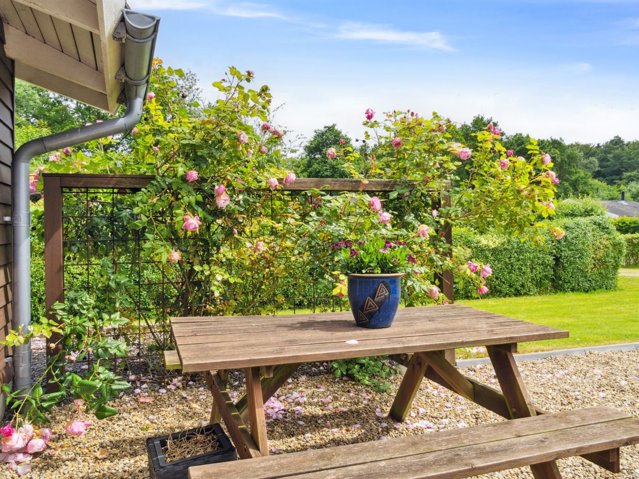 "Telli" - 350m from the sea - Buiten