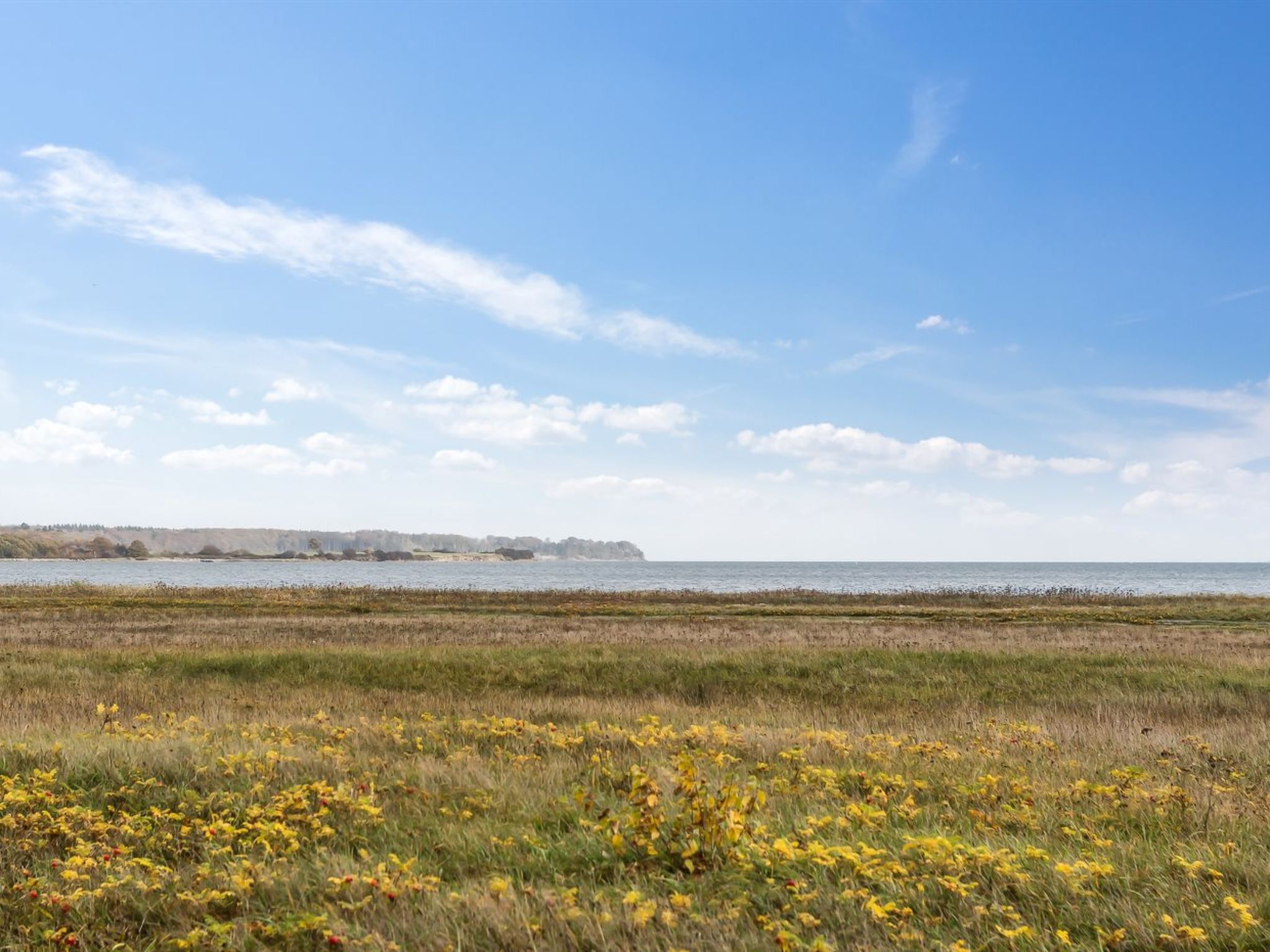 "Yma" - 250m from the sea