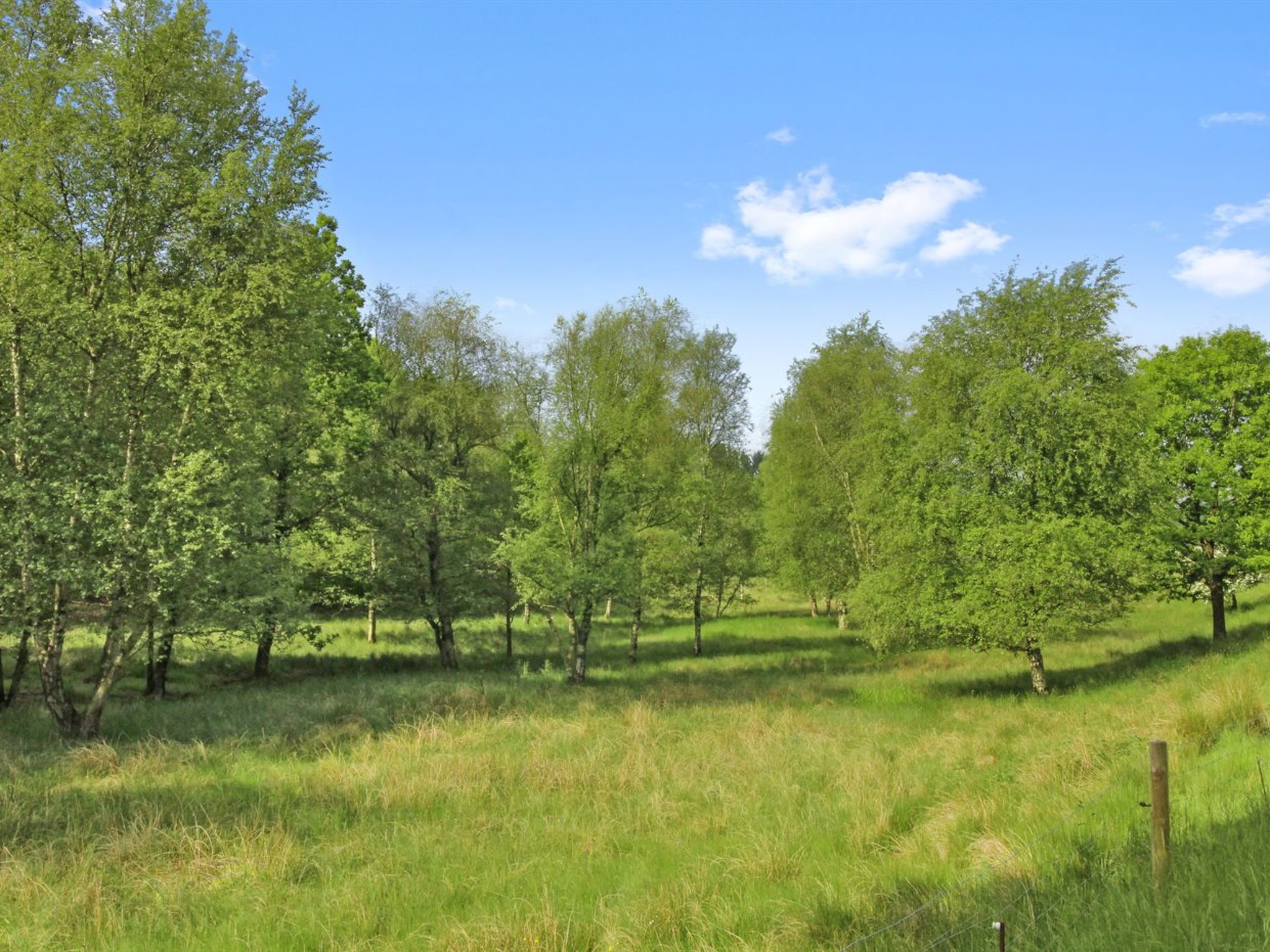 "Terese" - 45km from the sea - Buiten