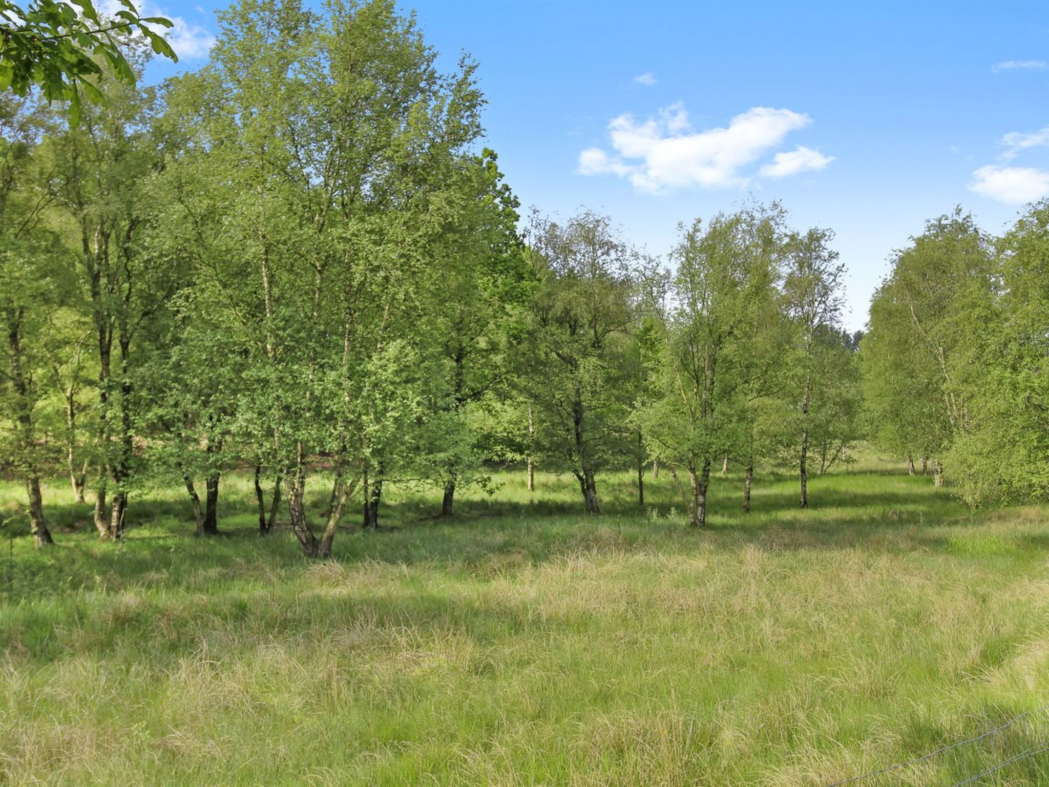 "Terese" - 45km from the sea - Buiten