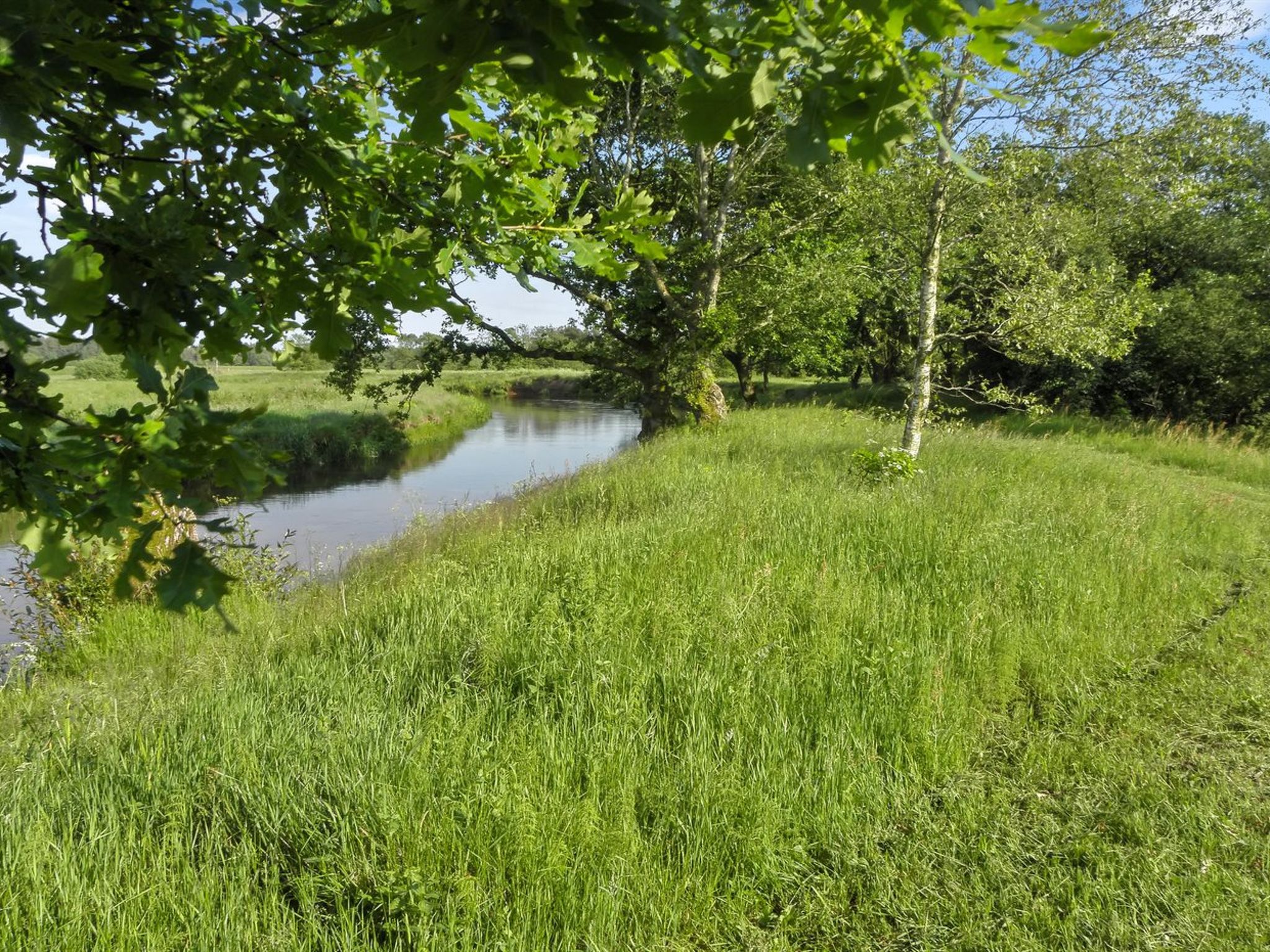 "Beatha" - 25km to the fjord - Buiten