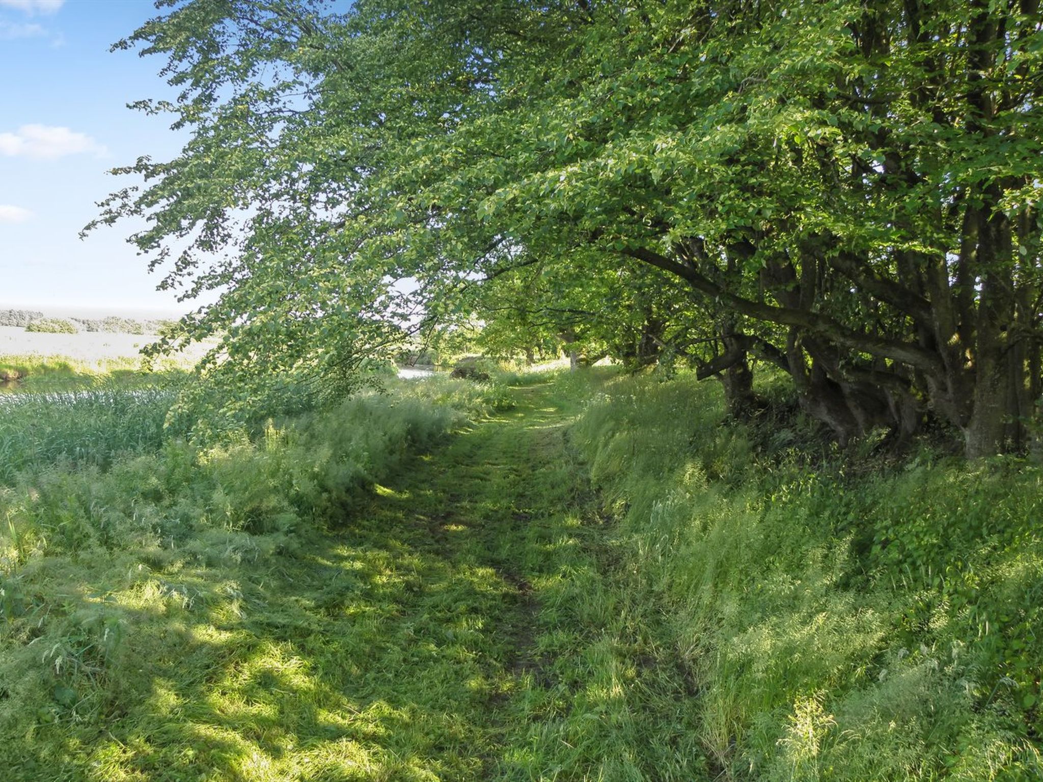 "Beatha" - 25km to the fjord - Buiten
