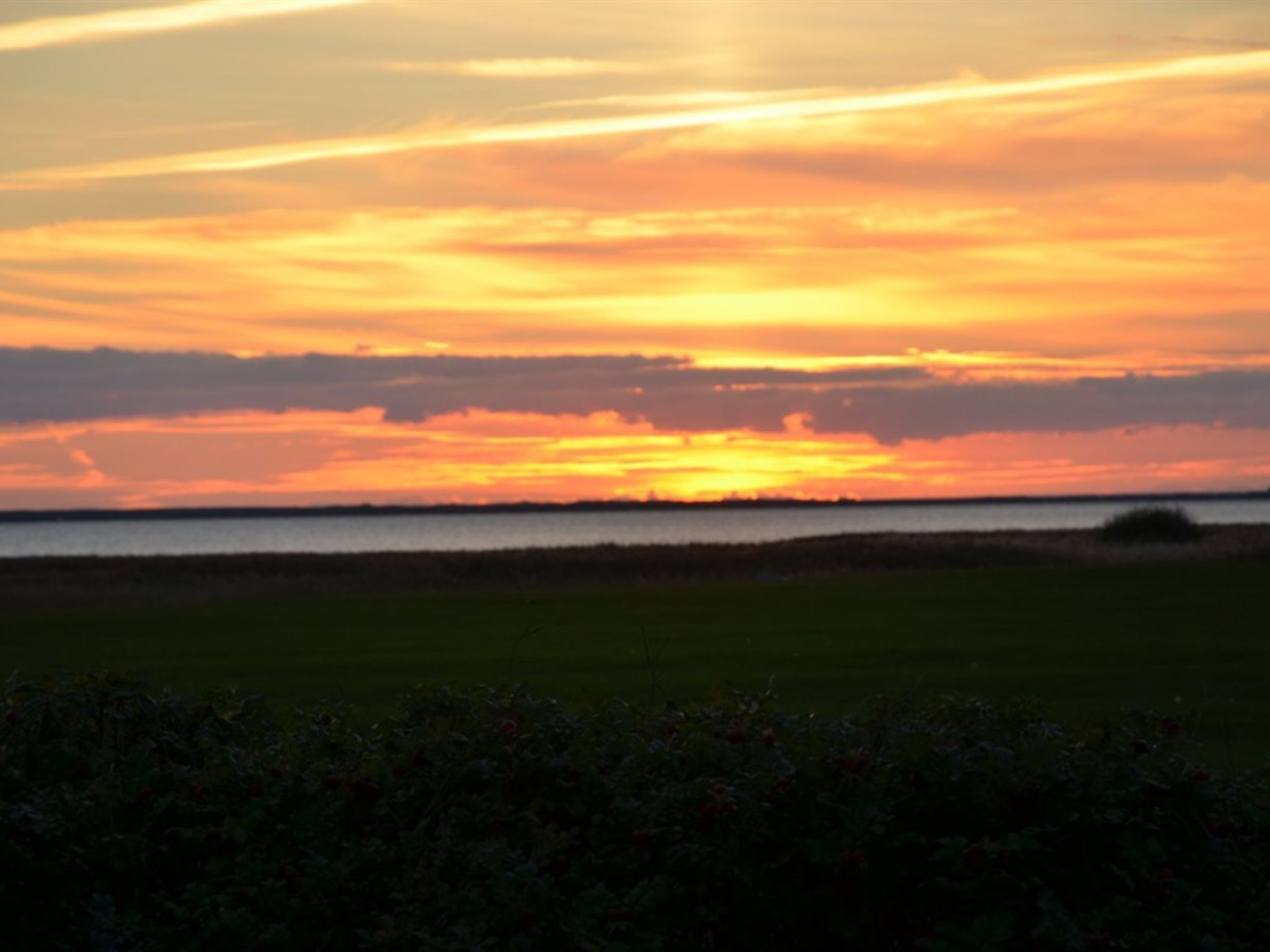 "Aleida" - 100m to the fjord-Buiten