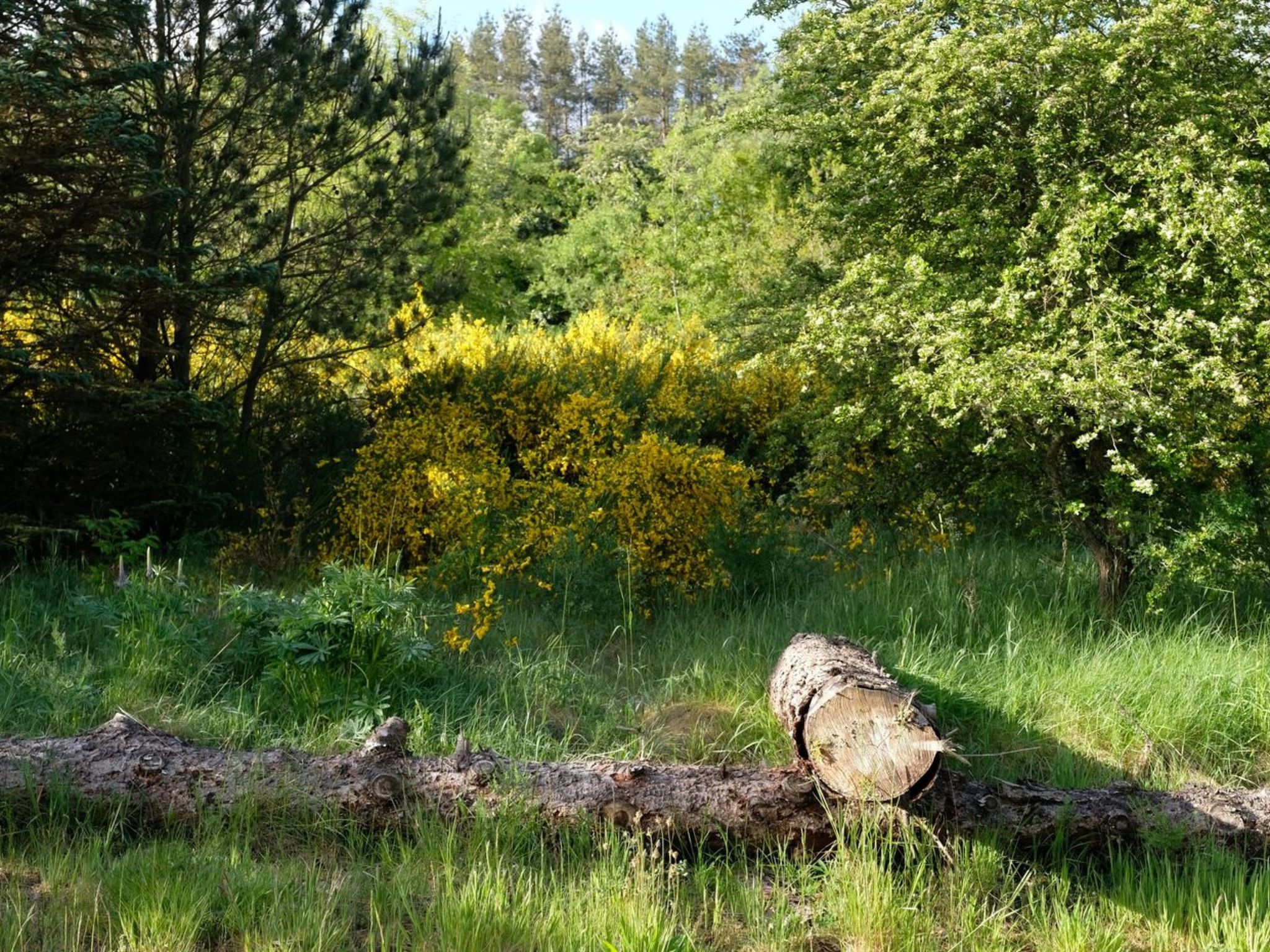 "Berenike" - 7km to the inlet-Buiten