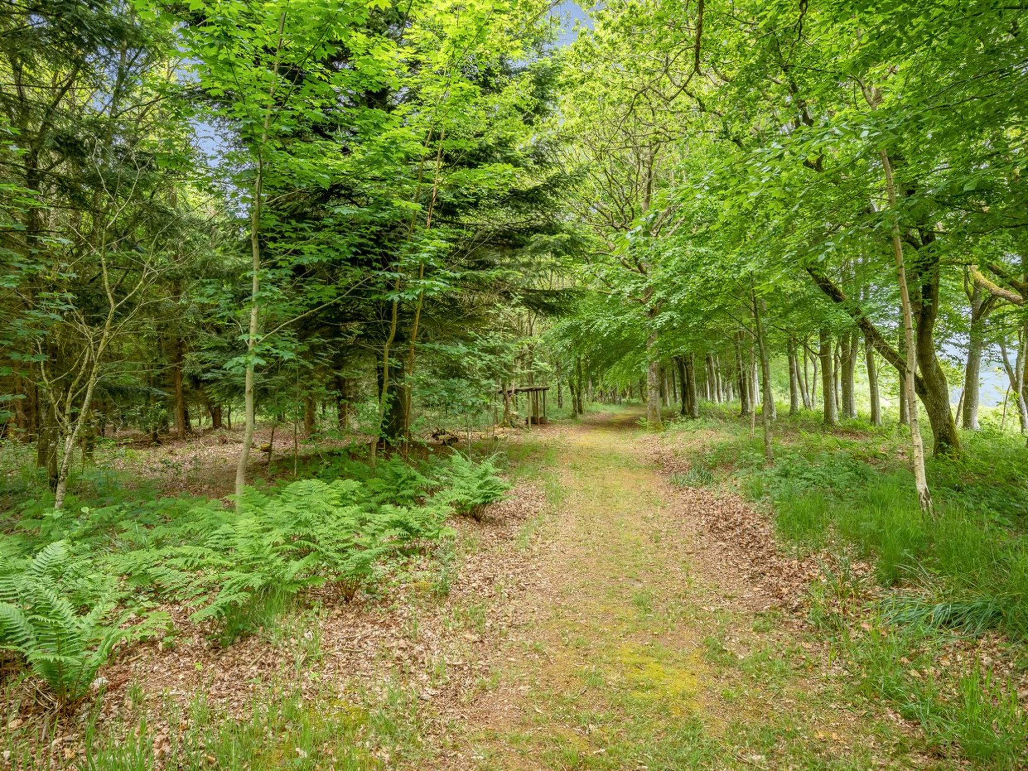 "Tatiane" - 10km from the sea - Buiten