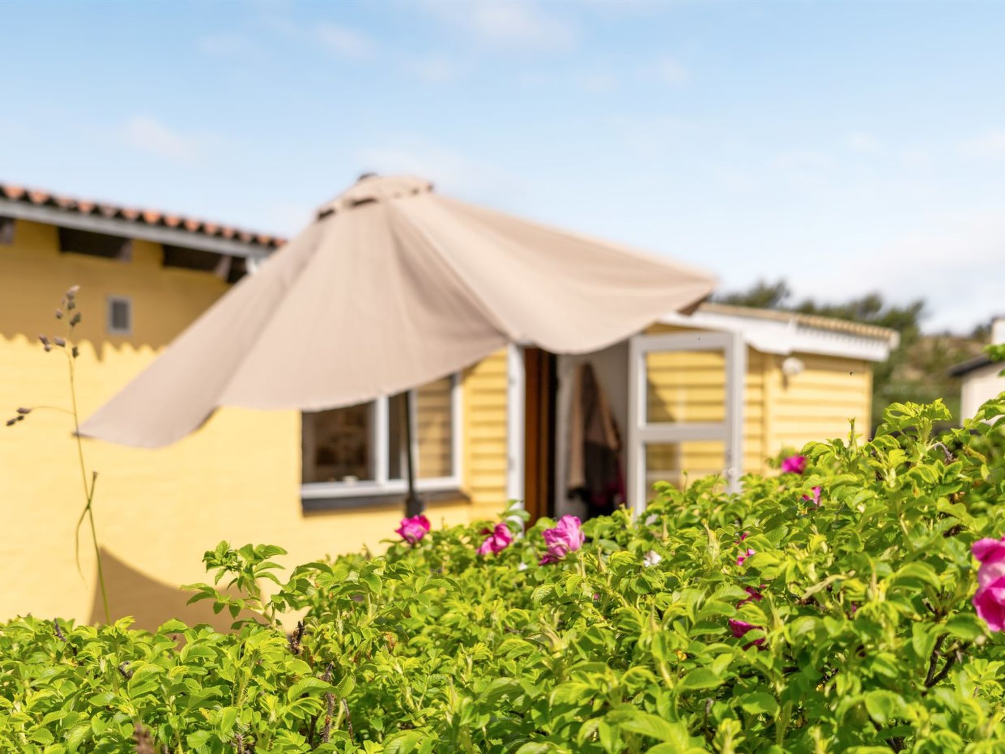"Suki" - 650m from the sea - Buiten