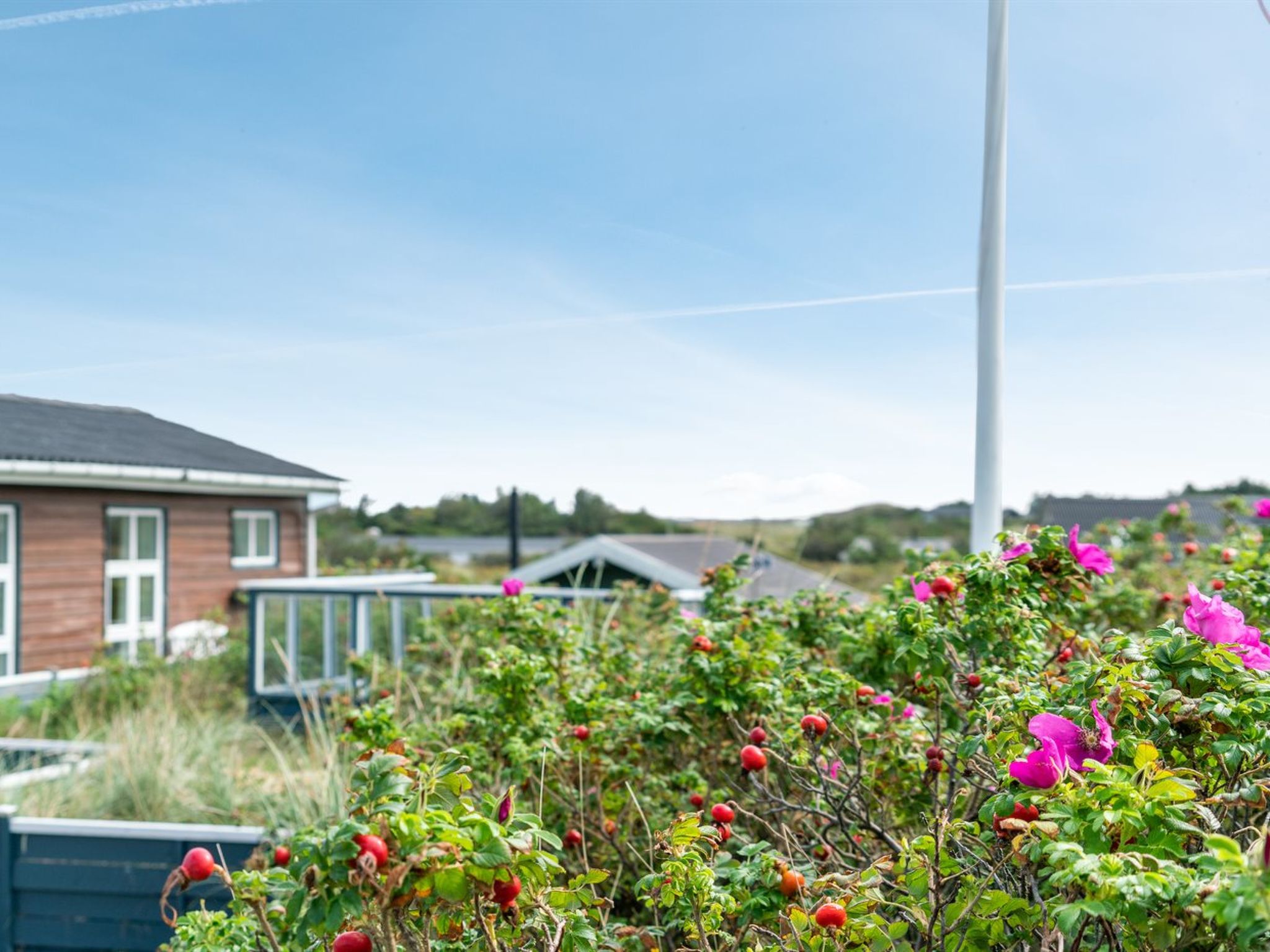"Stener" - 250m from the sea - Buiten