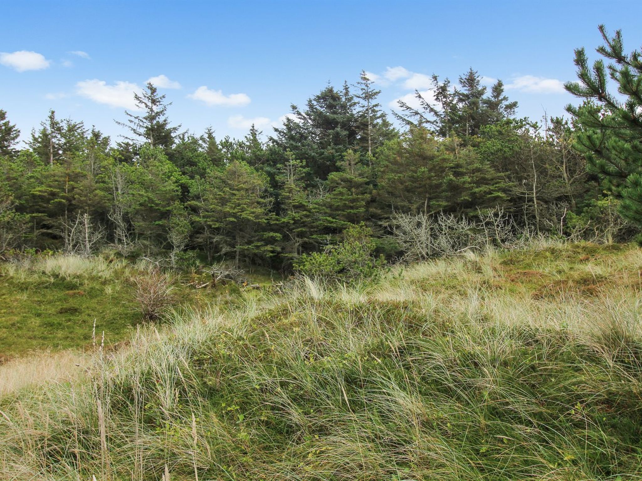 "Griselda" - 700m from the sea-Buiten