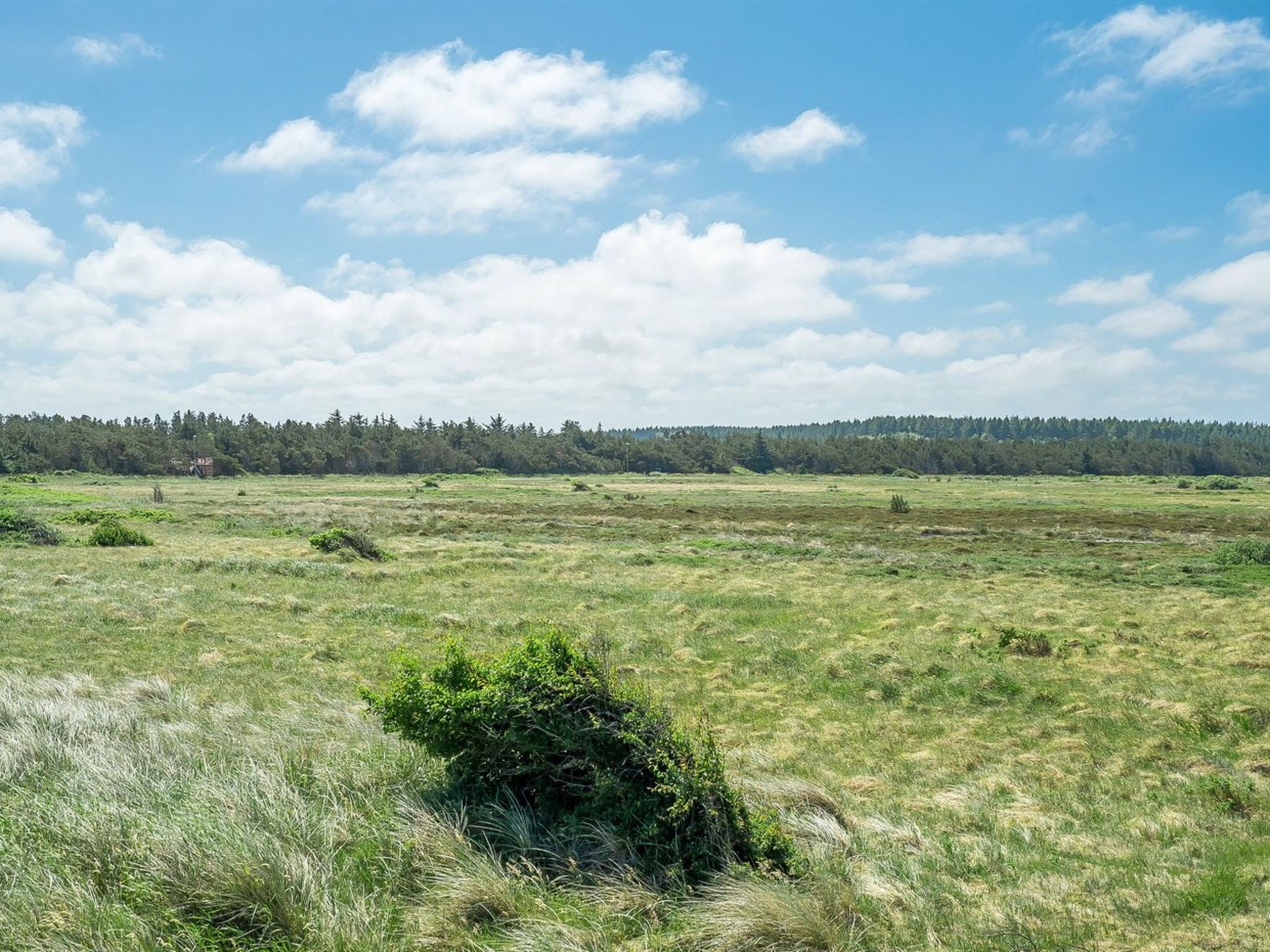 "Tayanita" - 750m from the sea - Buiten