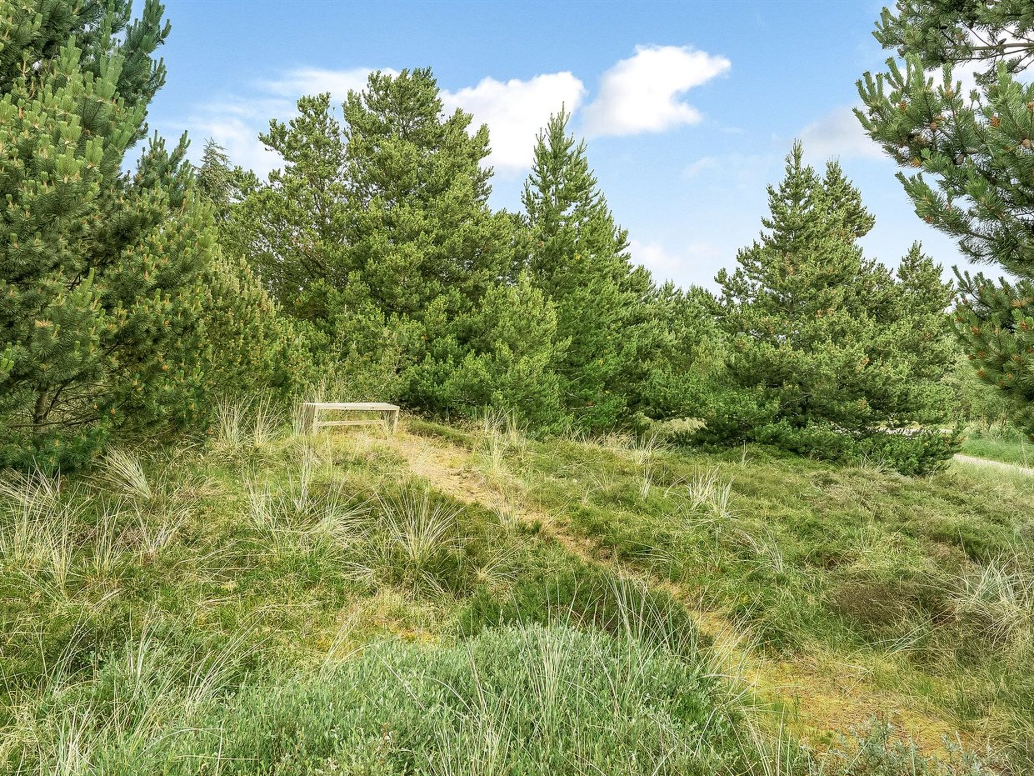 "Hughlek" - 900m from the sea - Draußen