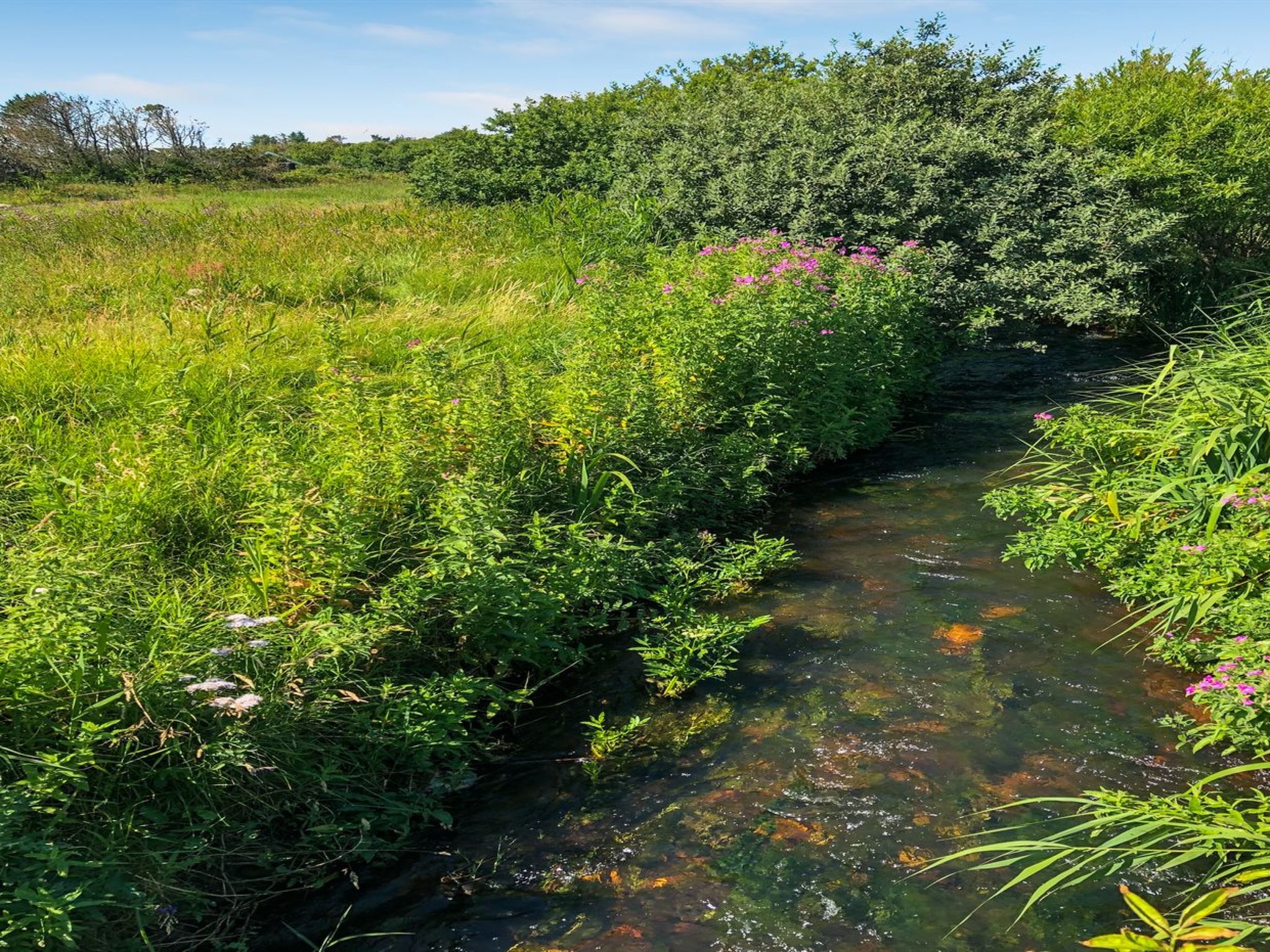 "Lökea" - 800m from the sea - Buiten