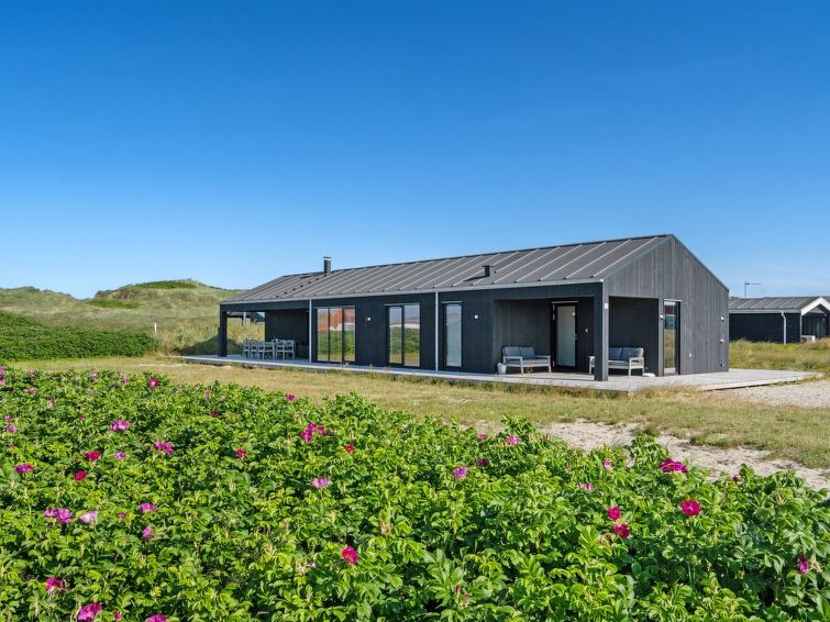 Image blog 10 Hidden Gems You Must Visit in Nørre Vorupør, , Denmark