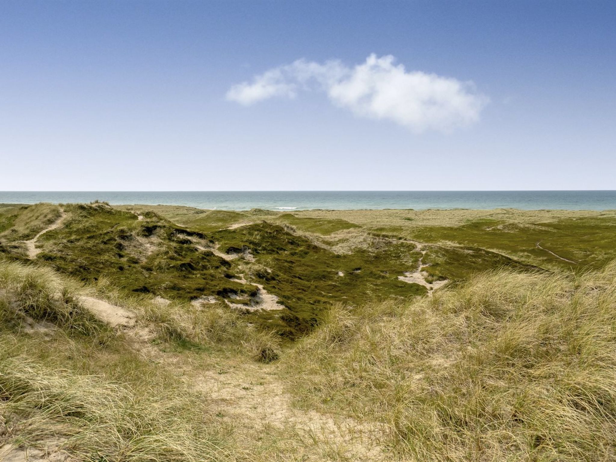 "Fabiana" - 350m from the sea - Buiten