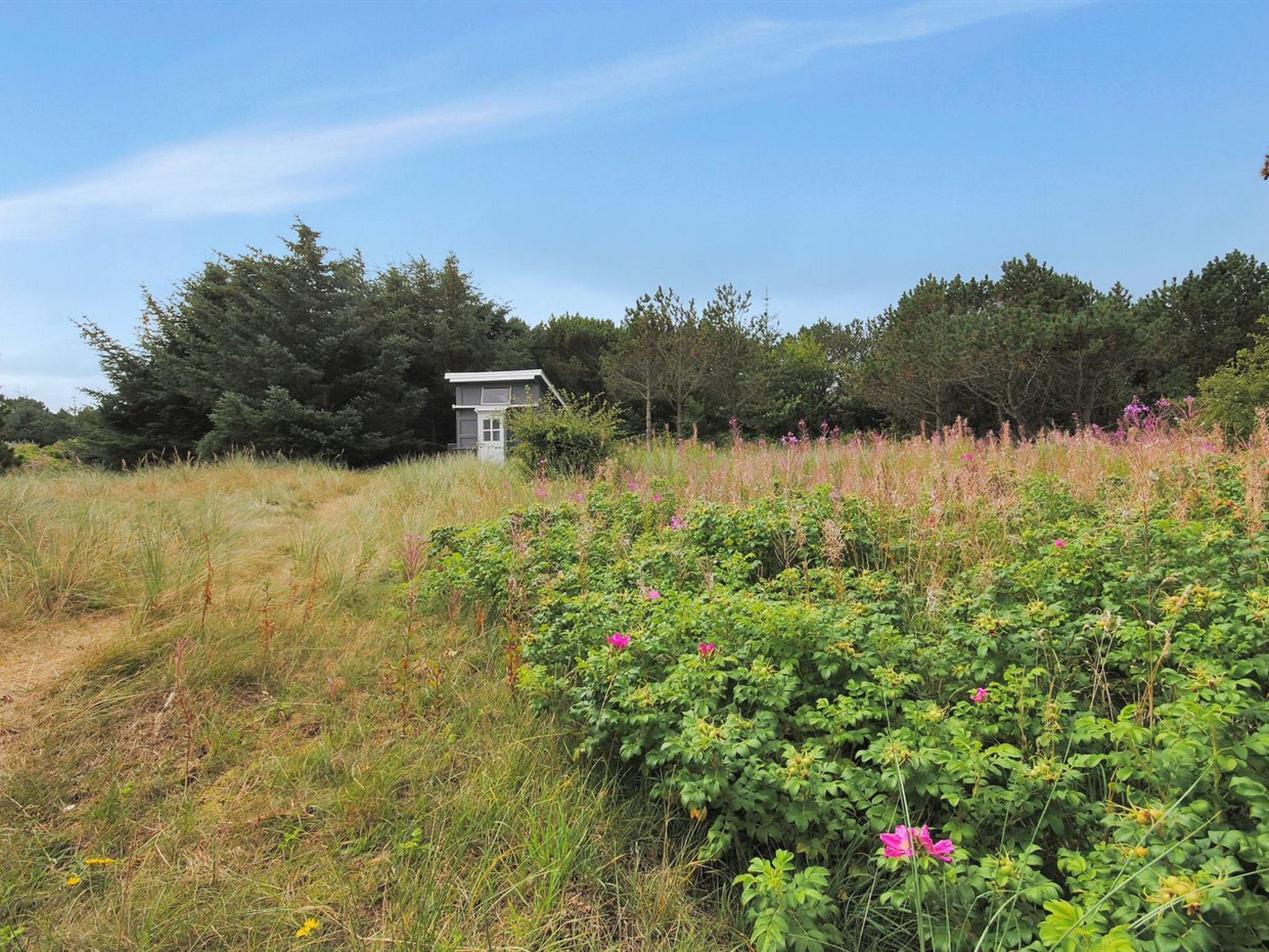 "Dode" - 225m from the sea-Draußen