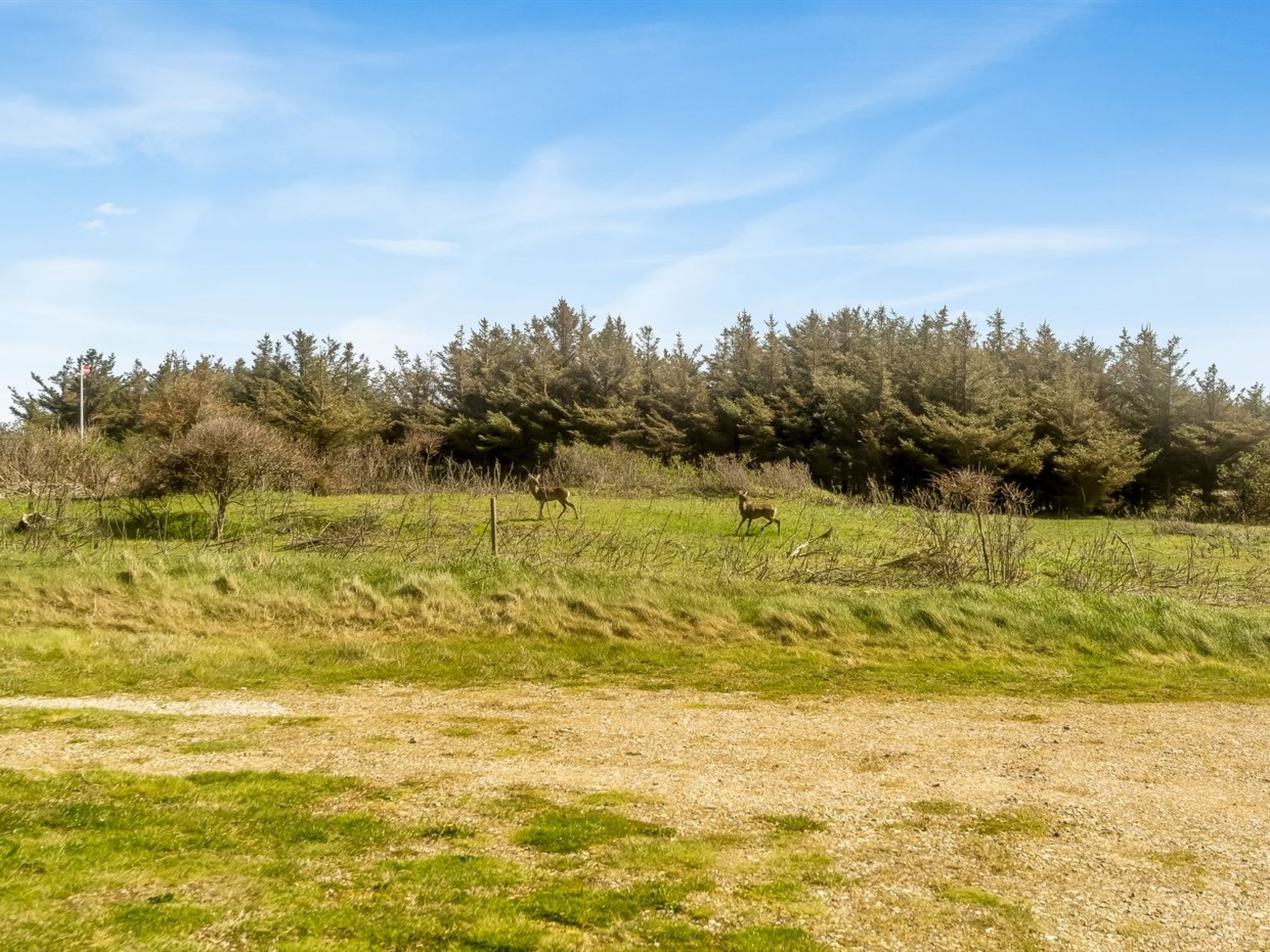 "Carelle" - 300m from the sea - Buiten