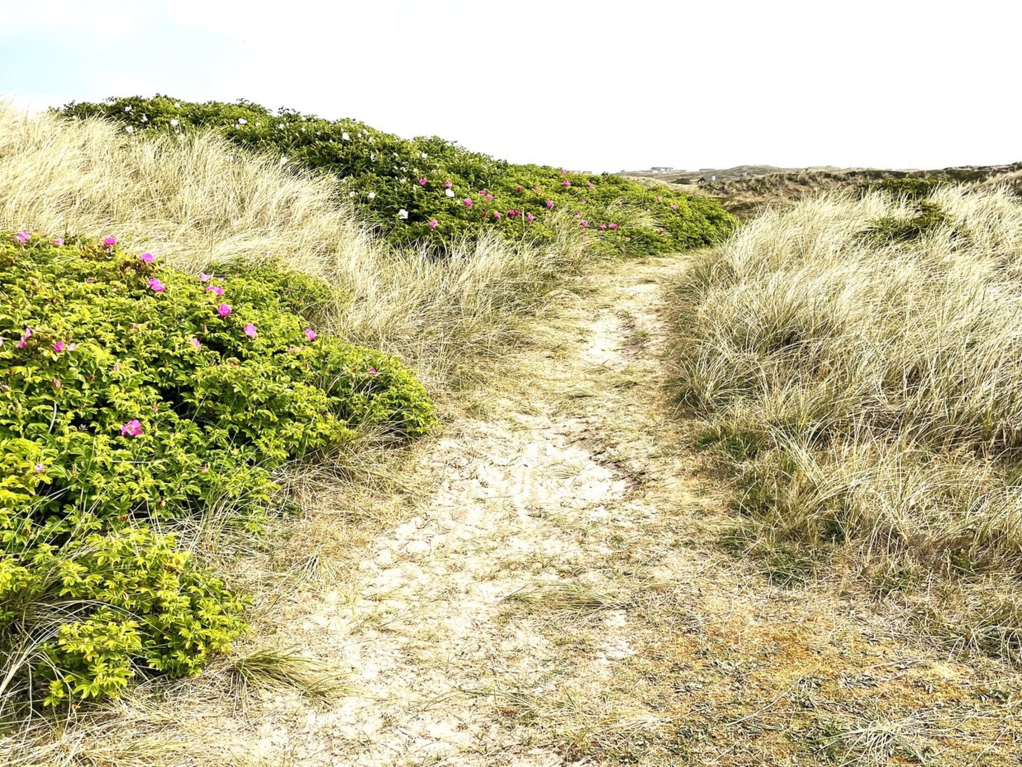 "Carelle" - 300m from the sea - Buiten