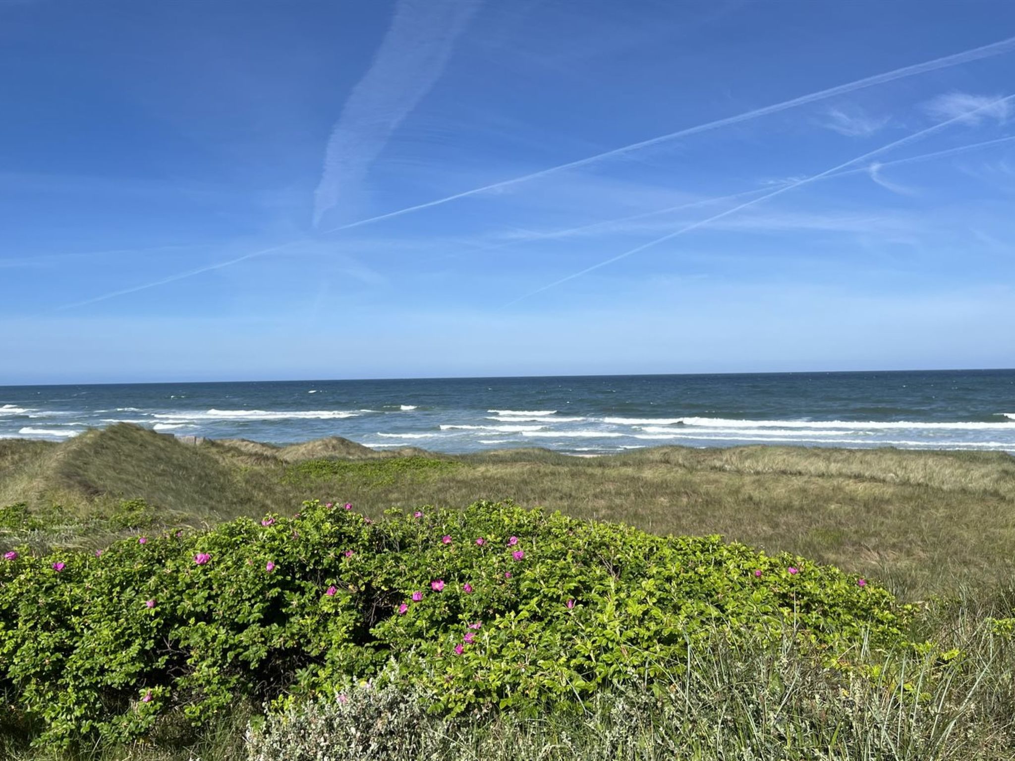 "Carelle" - 300m from the sea - Buiten