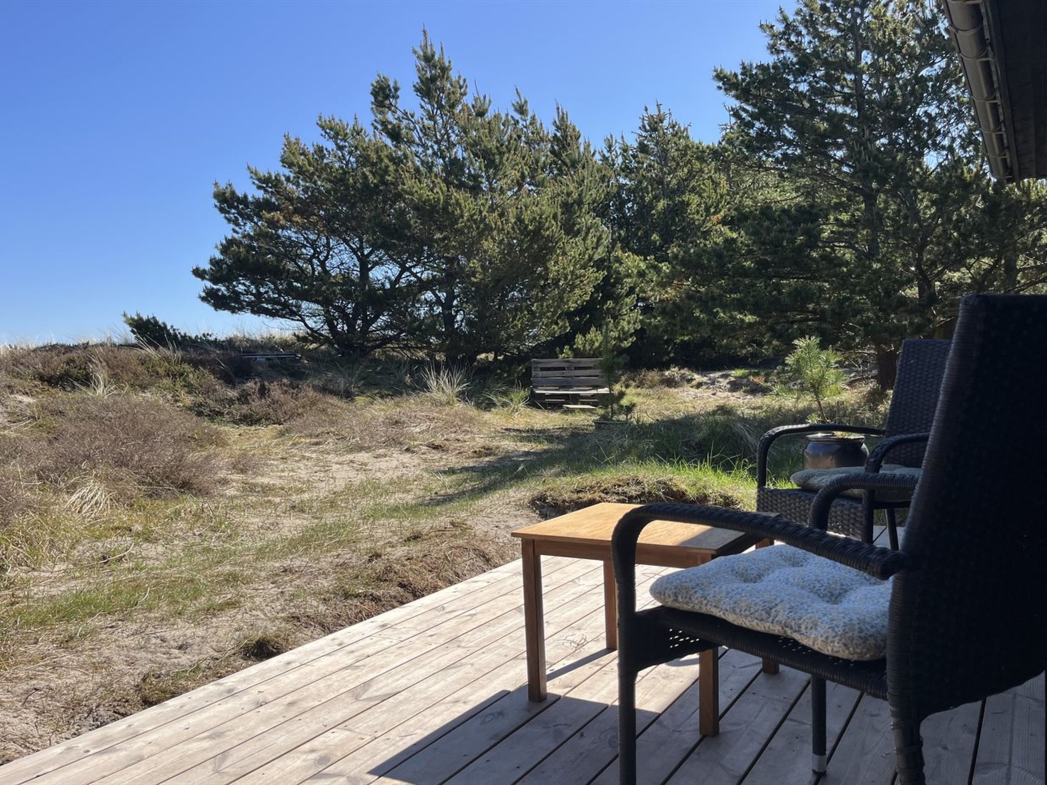 "Letta" - 800m from the sea — Terrace (4 of 46)