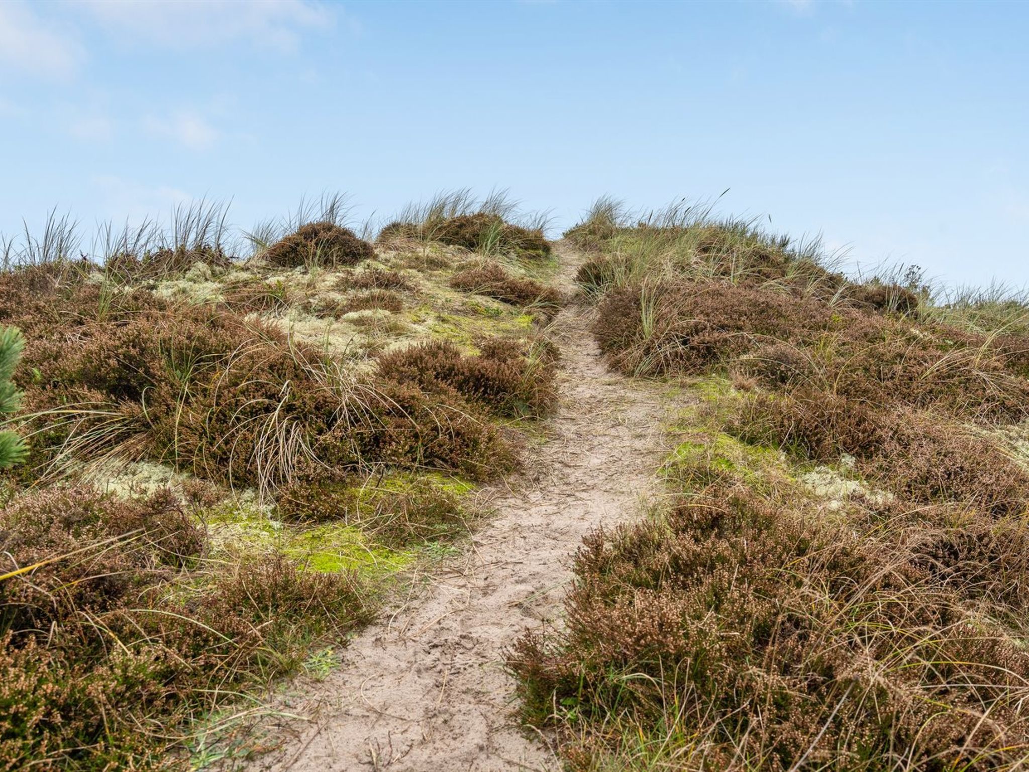 "Tino" - 900m from the sea - Buiten