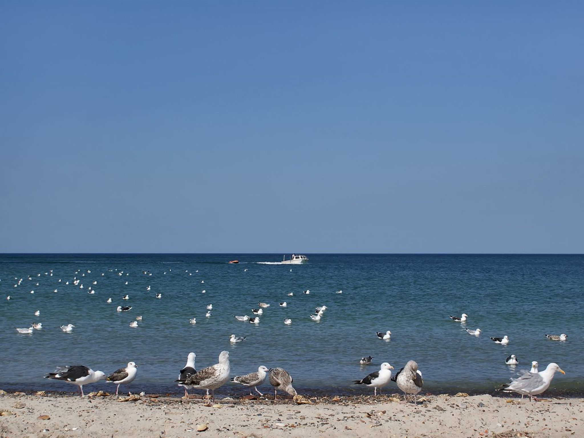 "Fani" - 200m from the sea