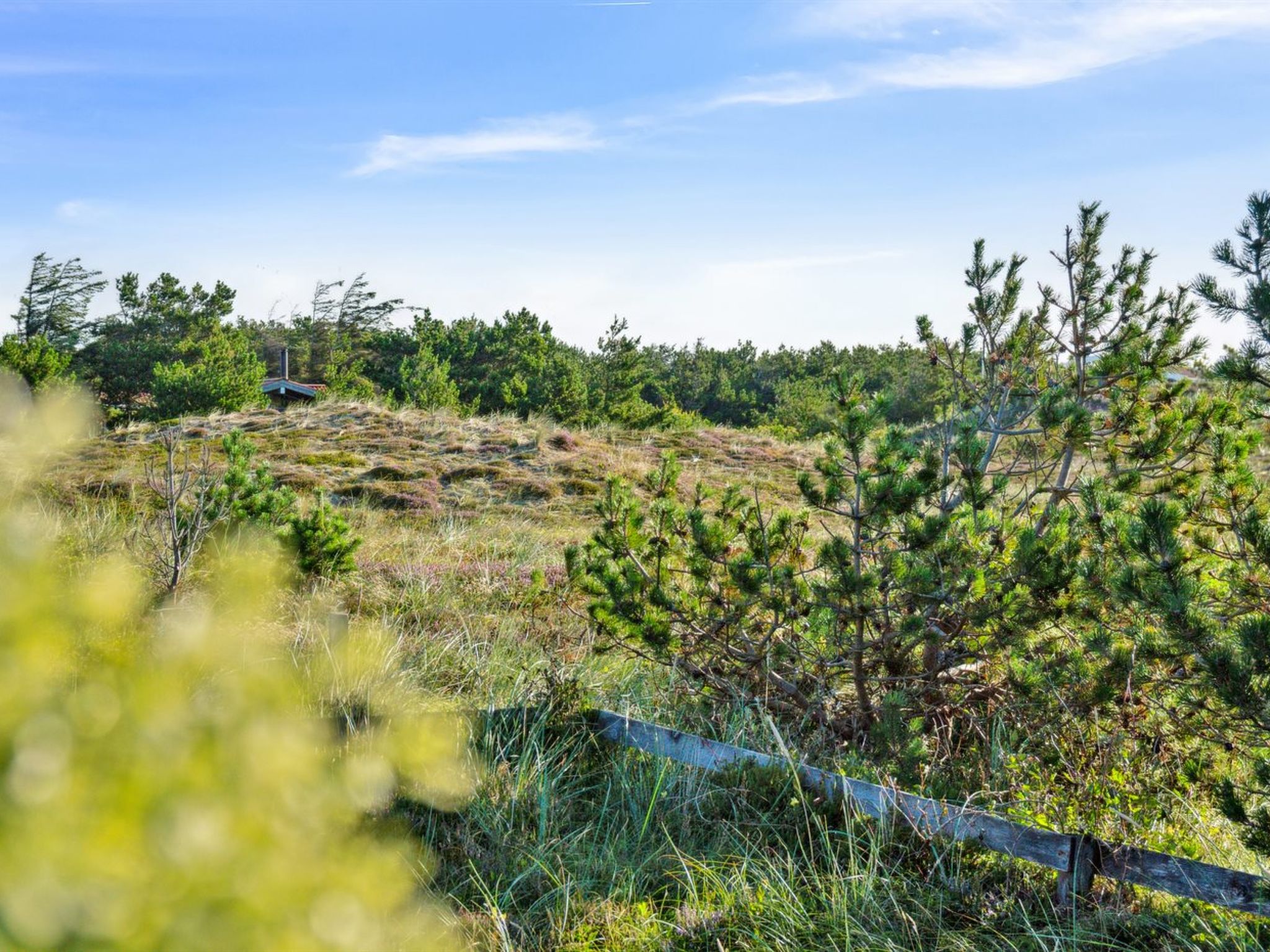 "Blaguna" - 600m from the sea - Buiten