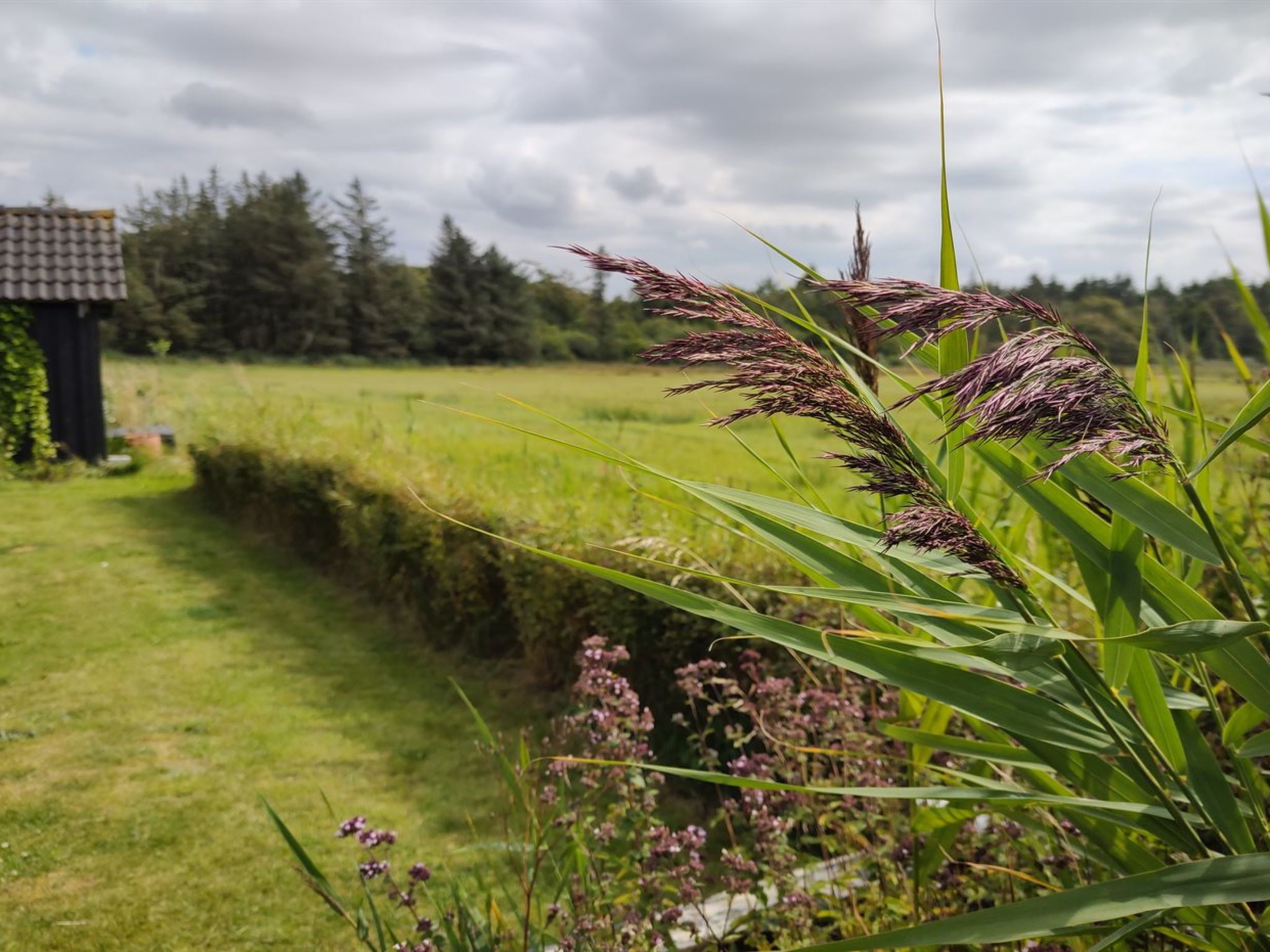 "Cillvur" - 8km from the sea - Buiten