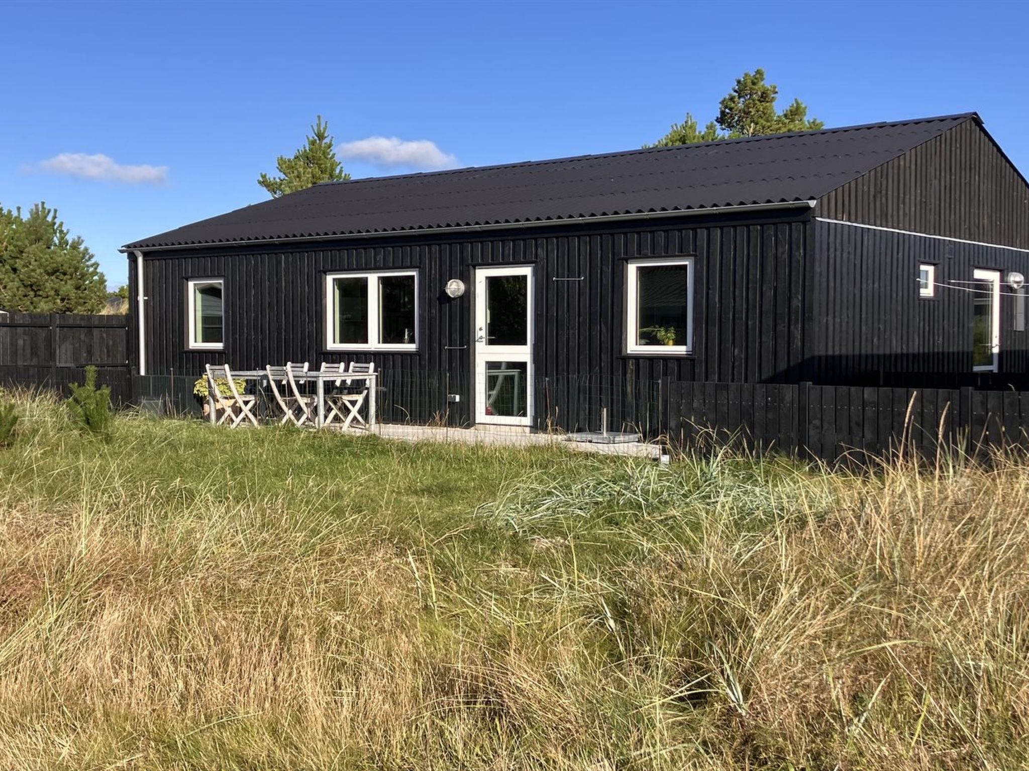 'Ovine' - 900m from the sea