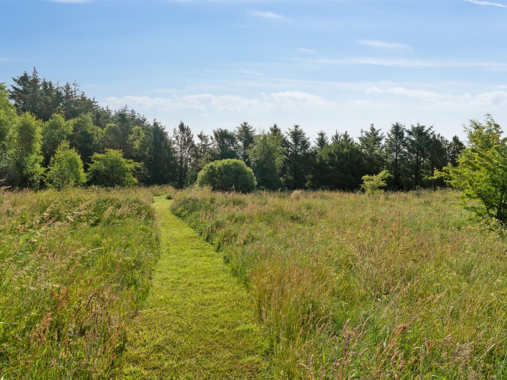 "Elsia" - 1.5km to the fjord - Buiten