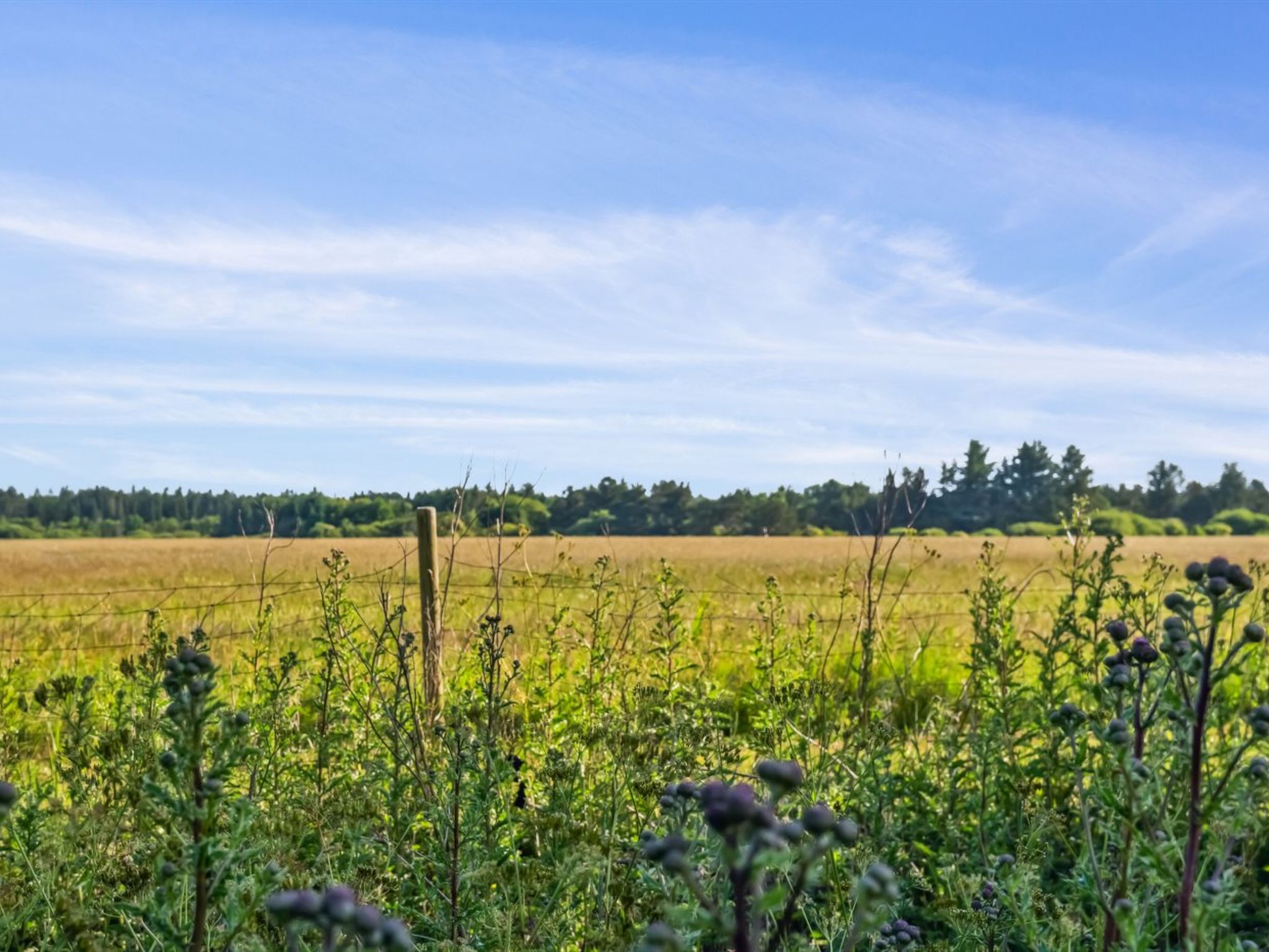"Elsia" - 1.5km to the fjord - Buiten