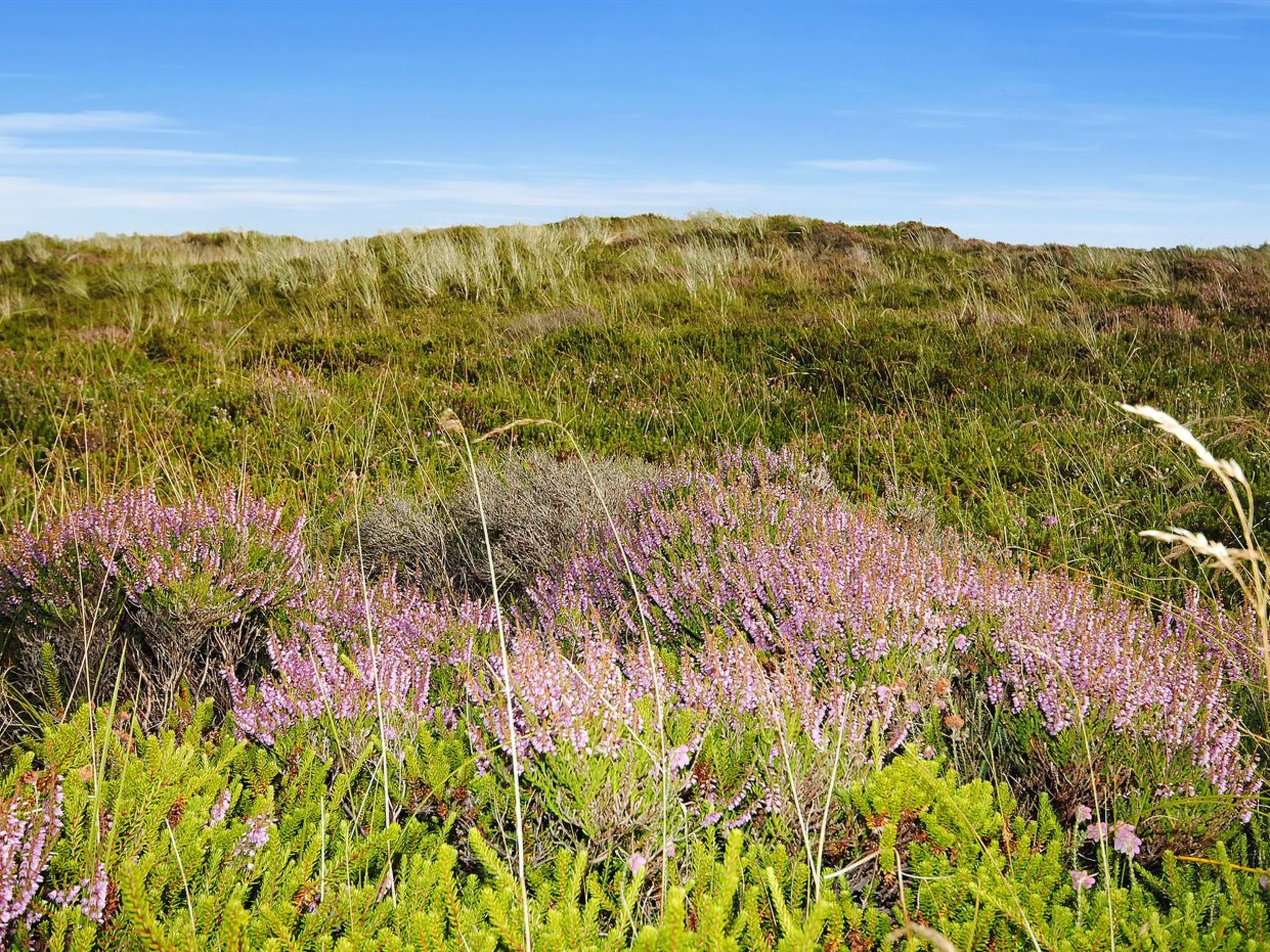 "Elsia" - 1.5km to the fjord - Buiten