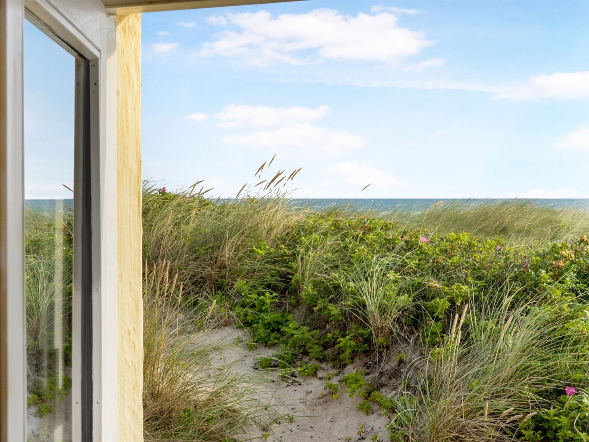 "Ebba" - 25m from the sea - Buiten
