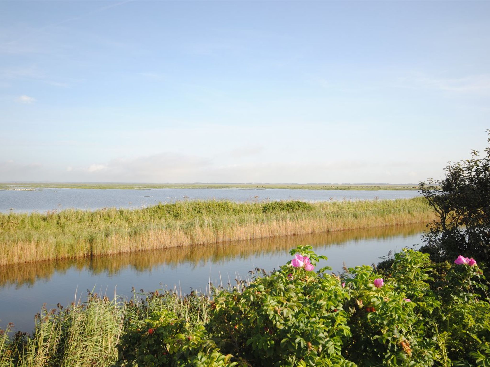 "Leocadia" - 150m to the fjord-Buiten