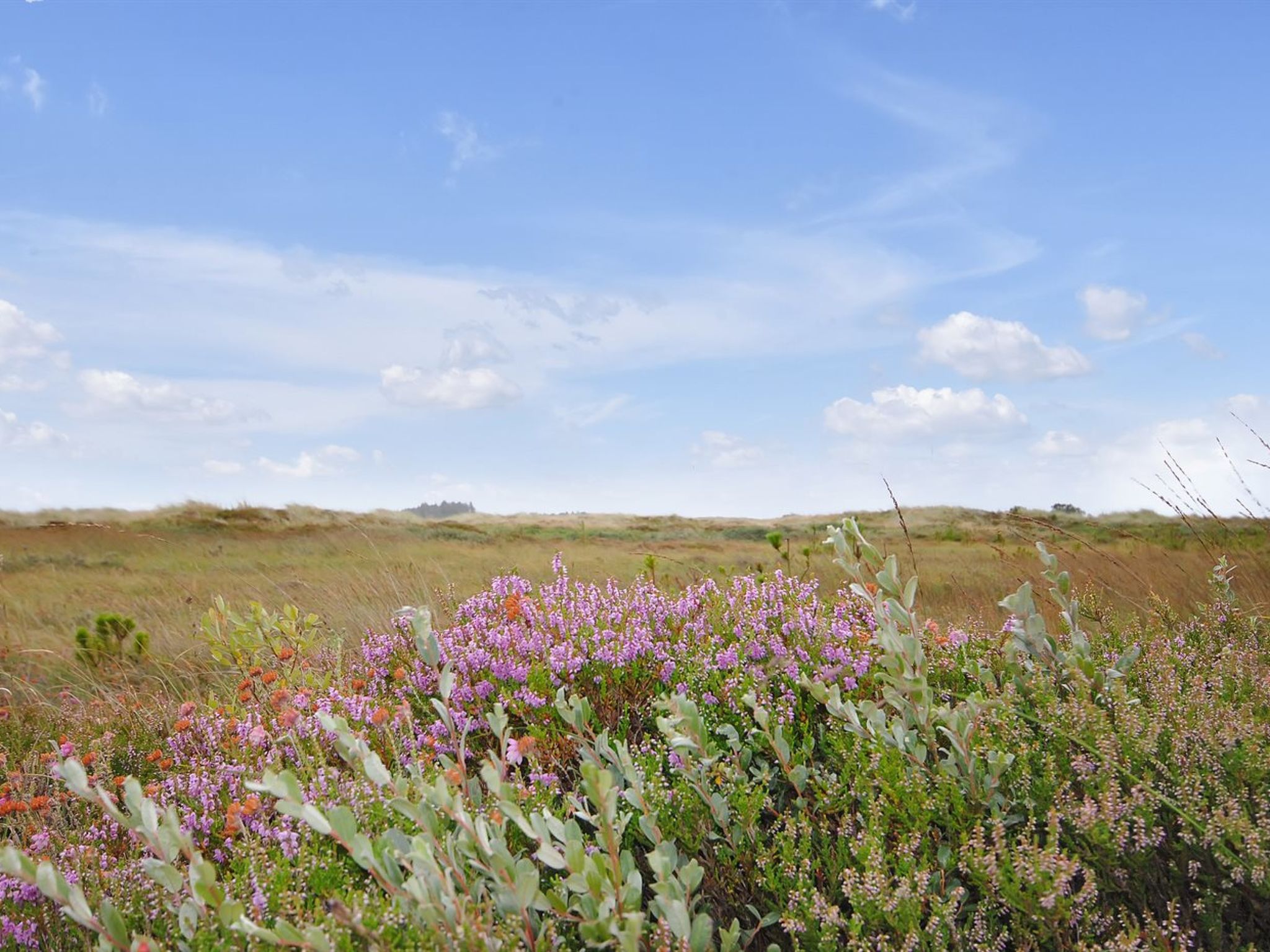 "Margrethe" - 1.1km from the sea - Buiten
