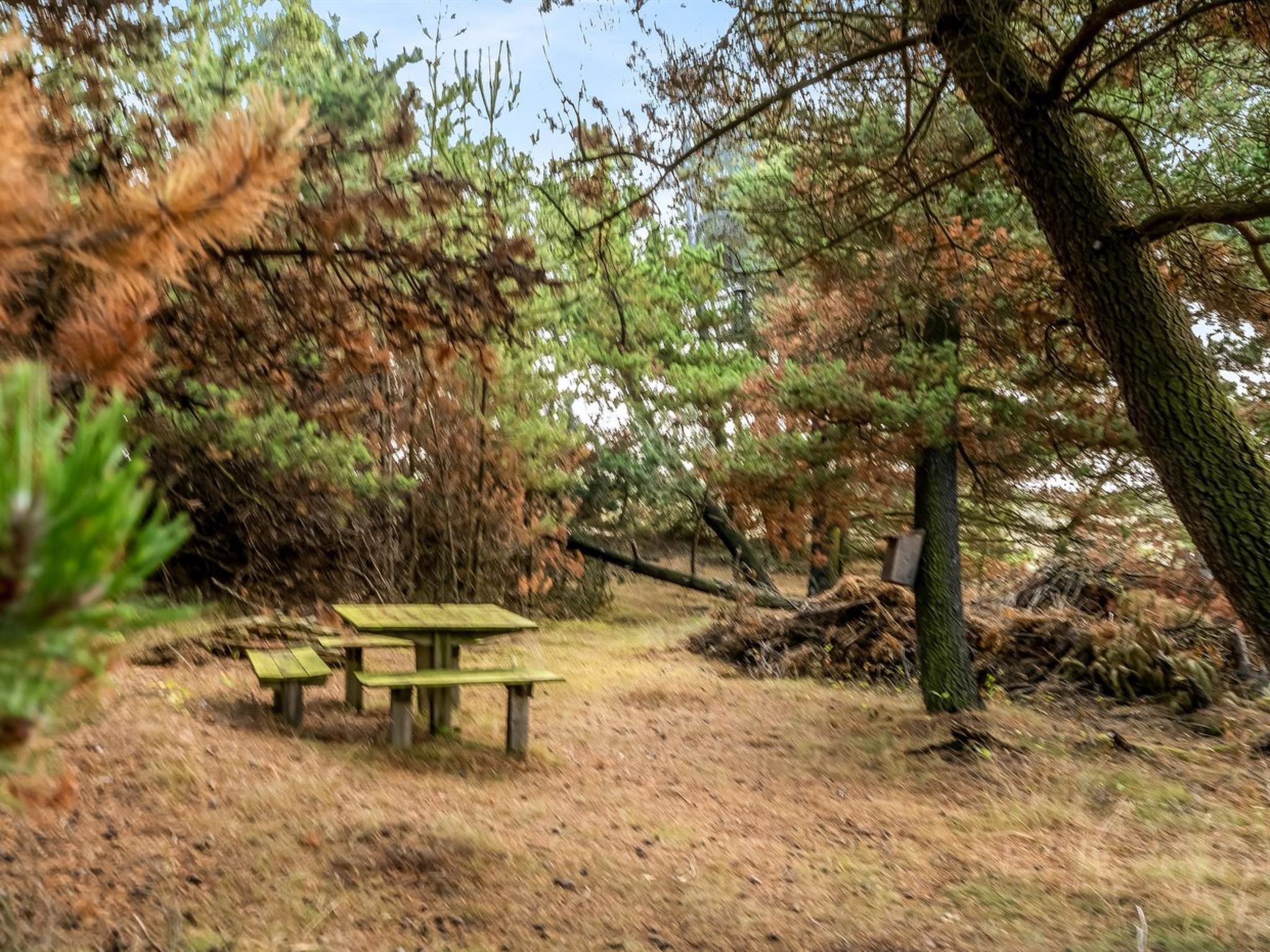 "Atreju" - 2km from the sea - Buiten
