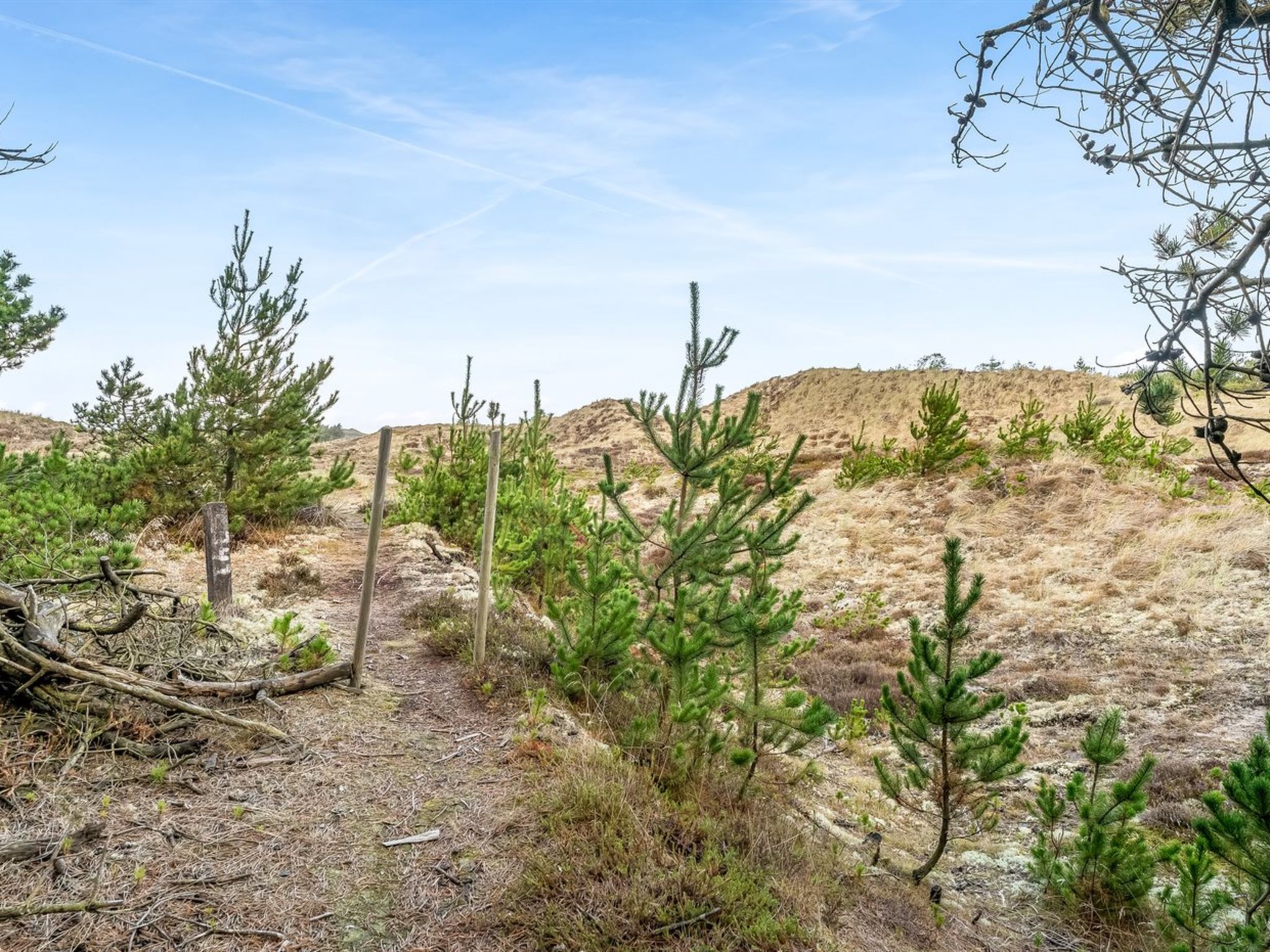 "Atreju" - 2km from the sea - Buiten