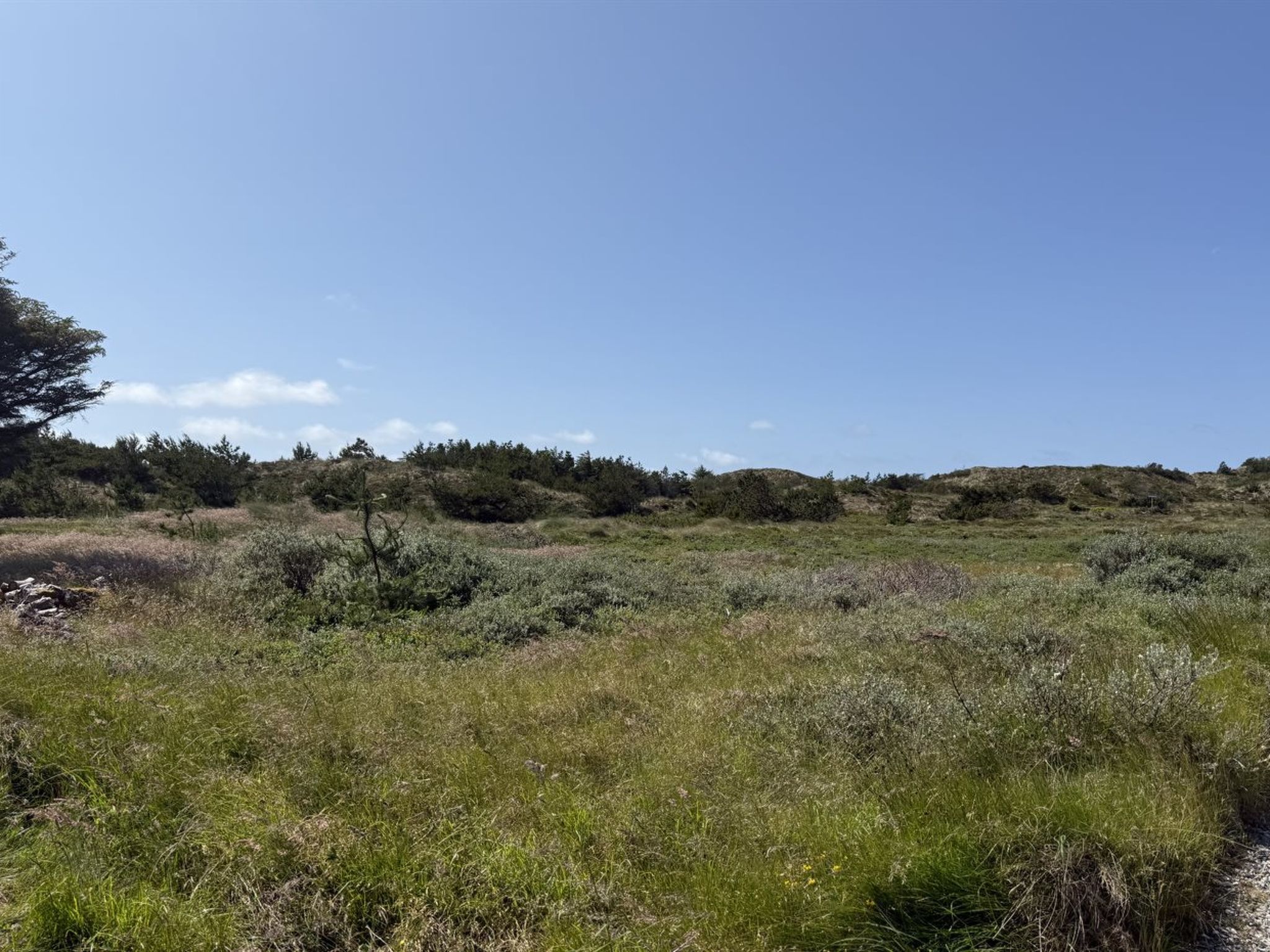 "Ola" - 900m from the sea