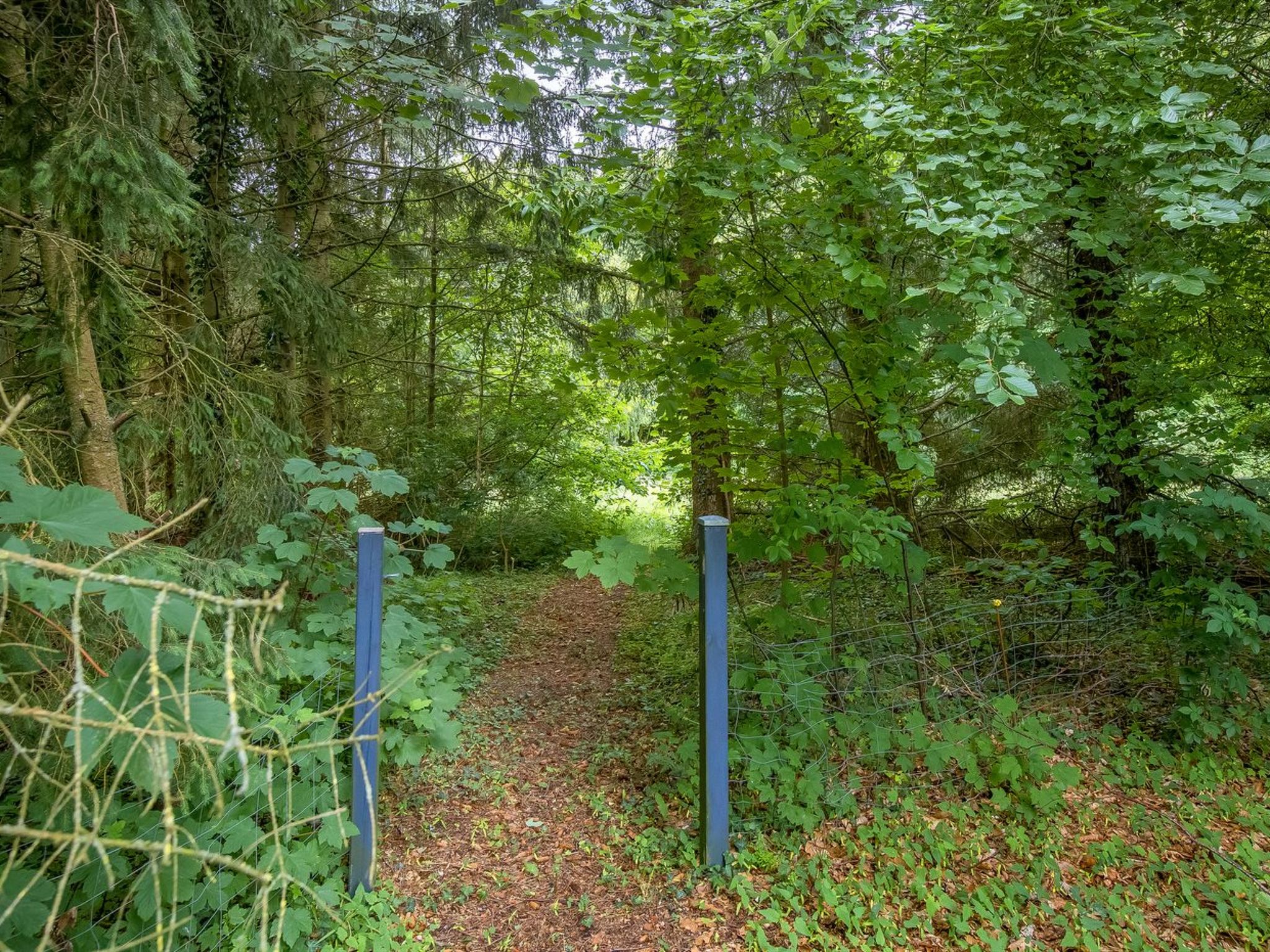"Gudrid" - 250m to the fjord - Buiten