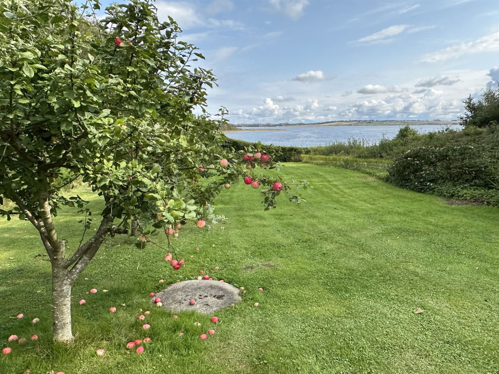 "Nico" - 70m to the fjord-Buiten