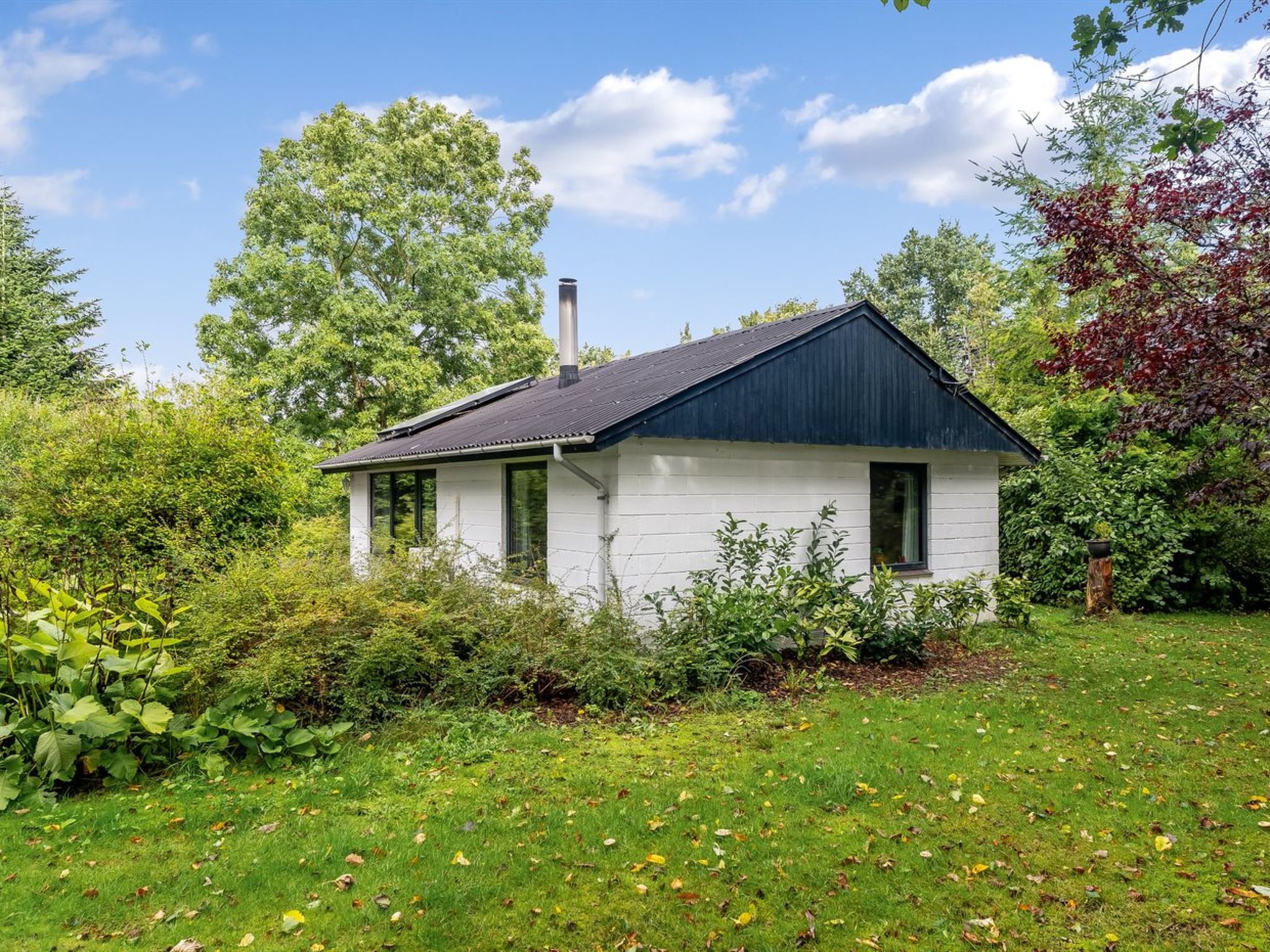 "Velika" - 300m to the fjord — House (4 of 26)