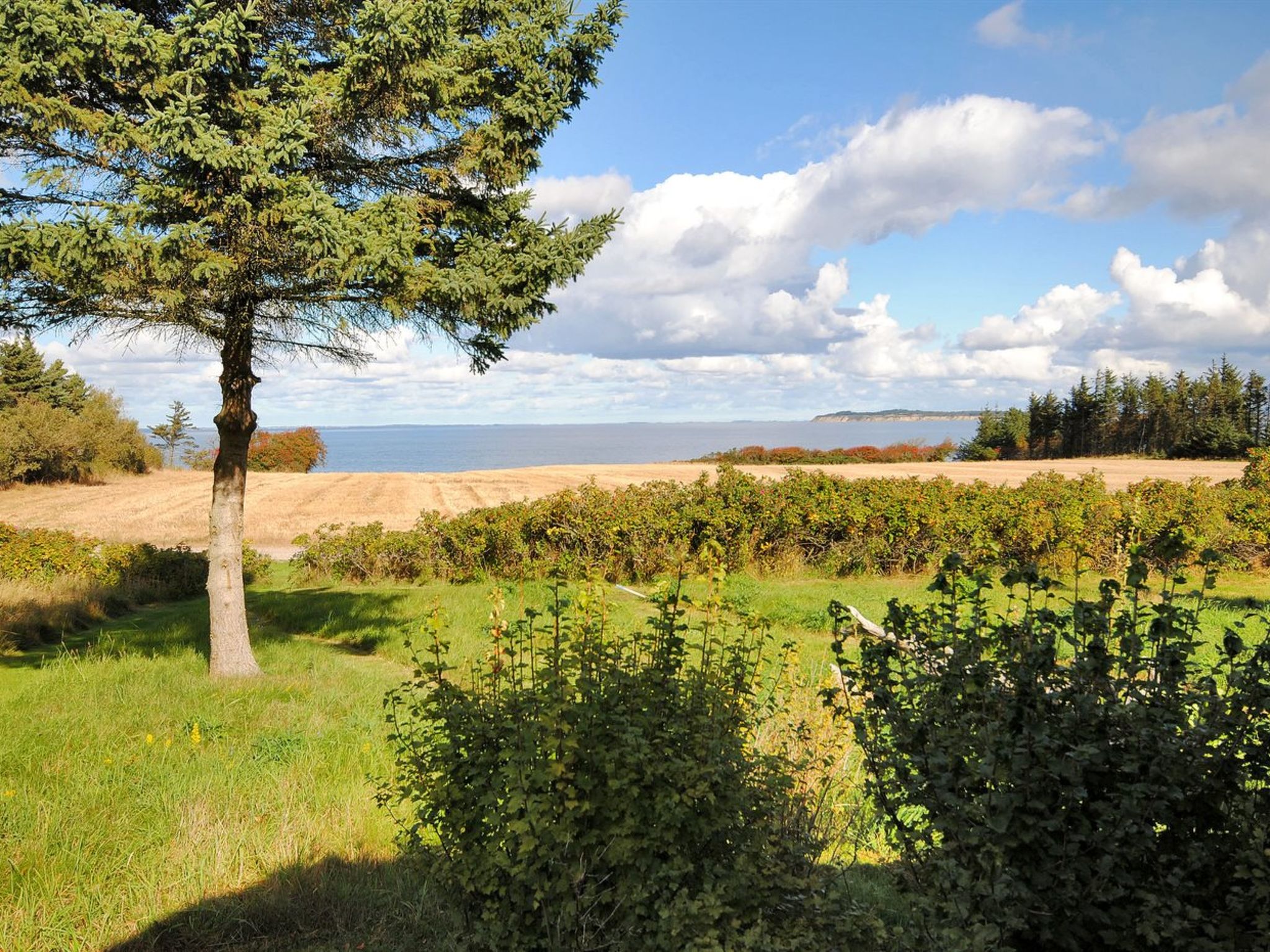 "Kaleva" - 200m to the fjord - Buiten