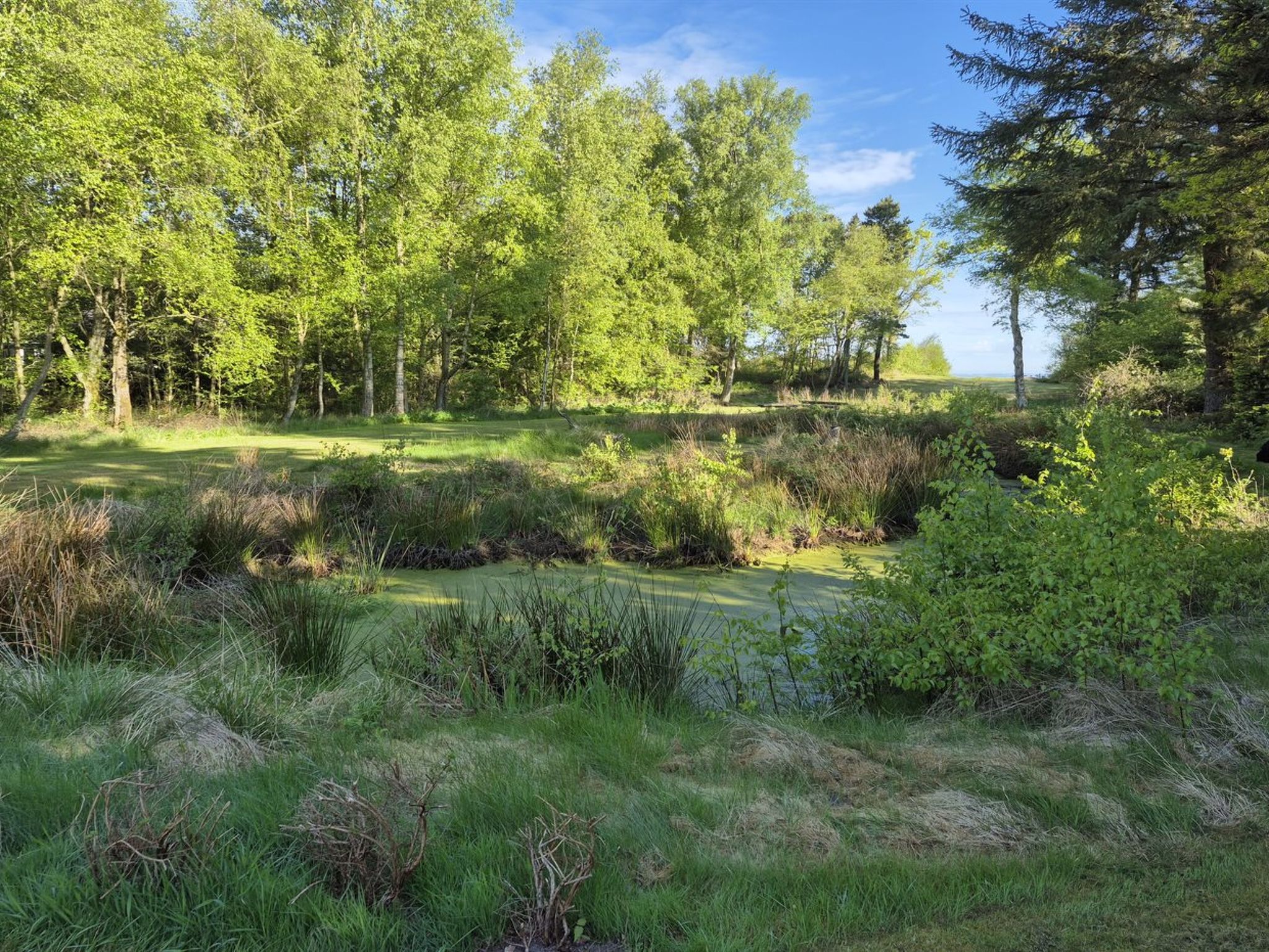 "Aswarth" - 50m to the fjord - Buiten