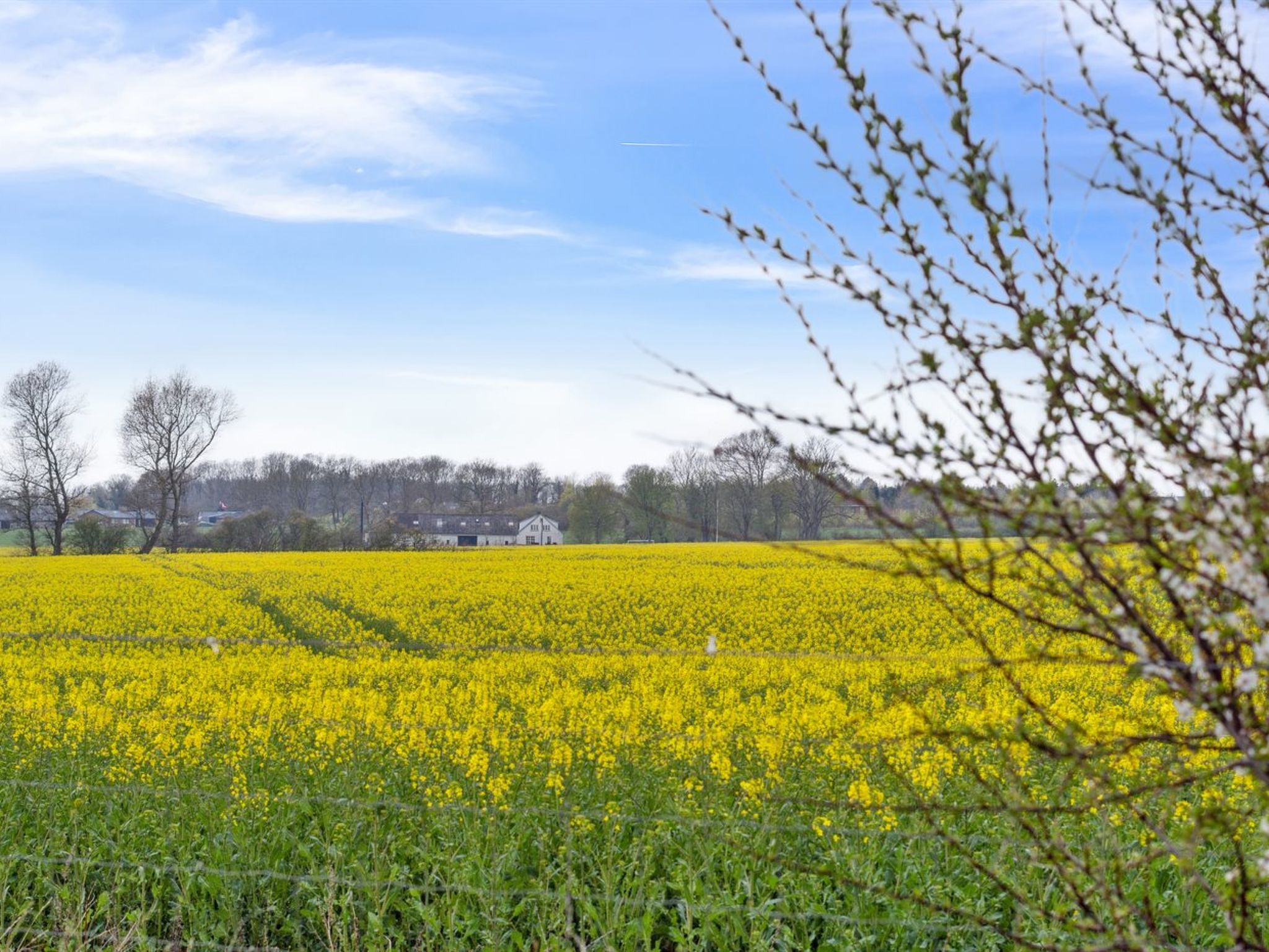 "Malfred" - 500m from the sea-Buiten