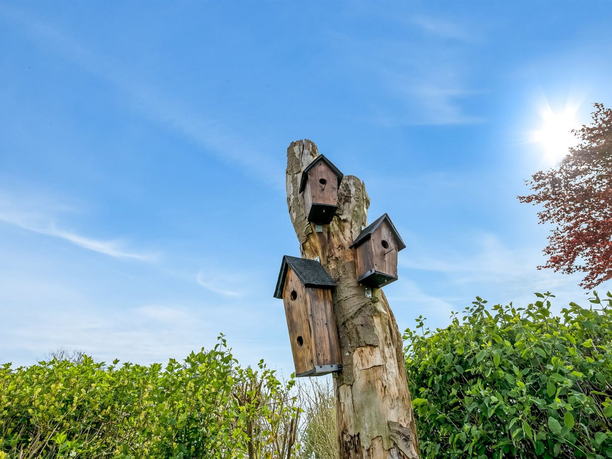 "Teija" - 300m from the sea - Buiten