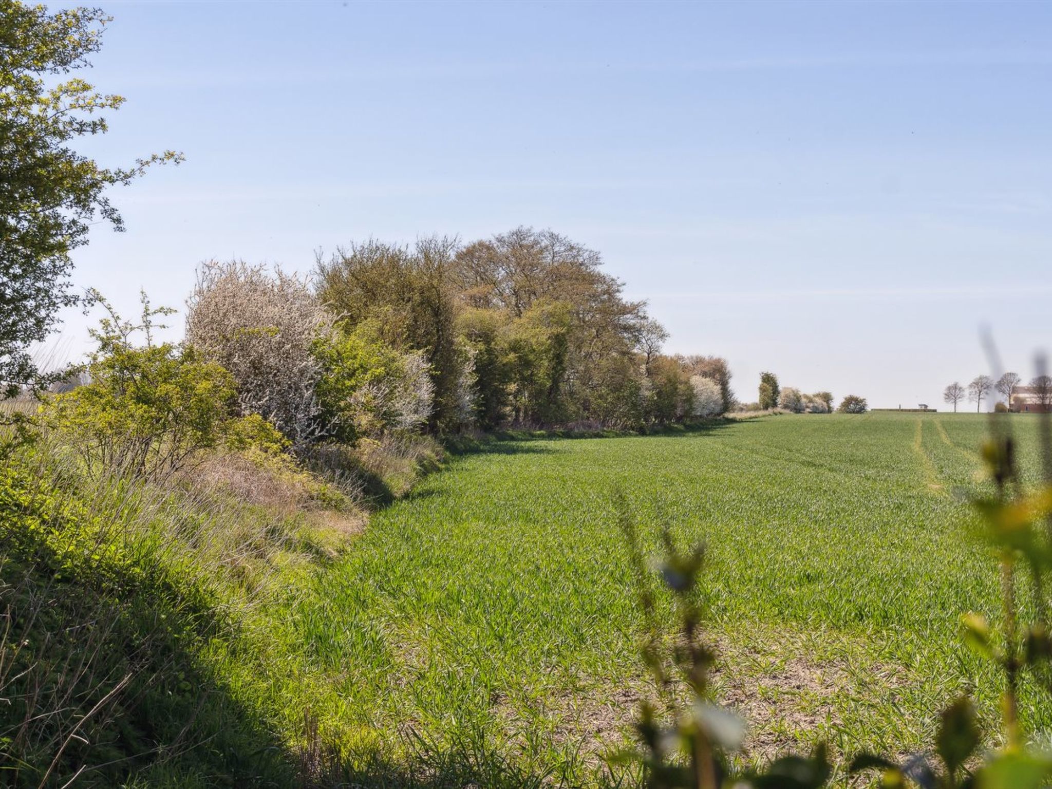 "Evamaria" - 350m from the sea - Dehors