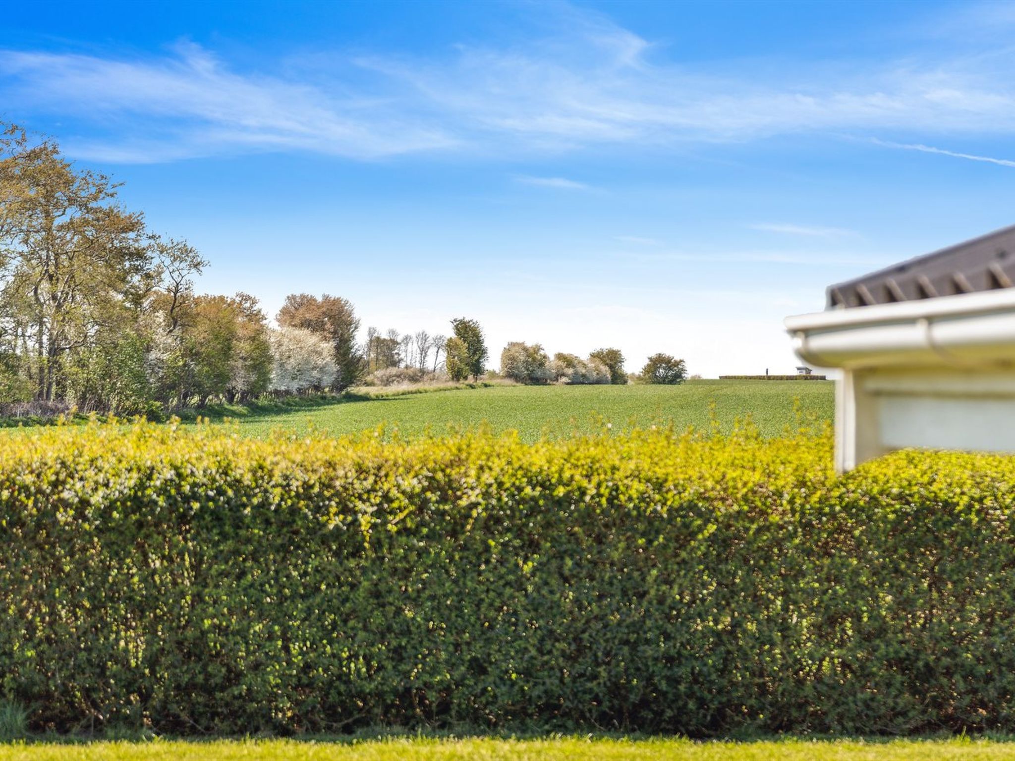 "Evamaria" - 350m from the sea - Dehors