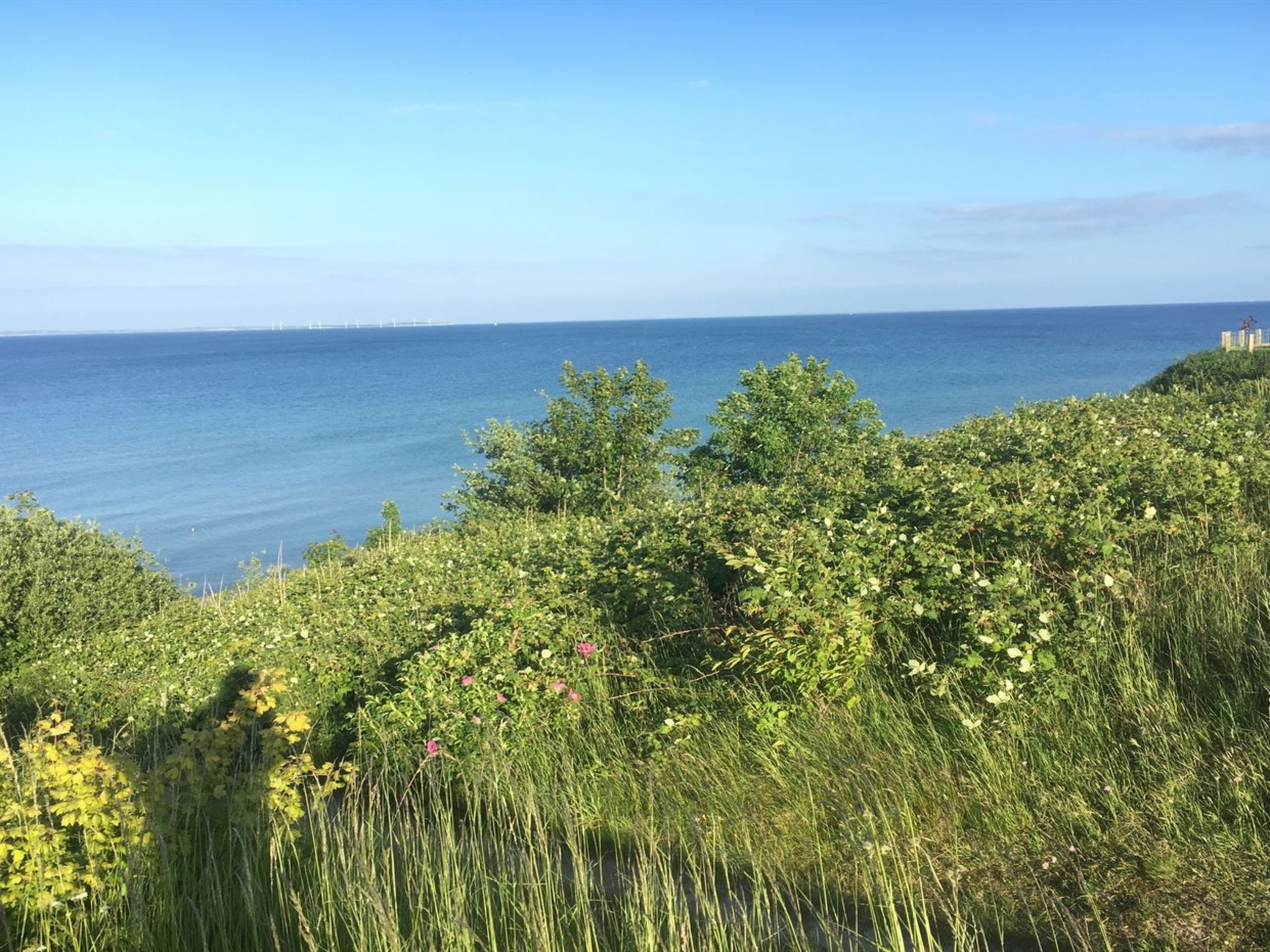 "Rikus" - 300m from the sea - Buiten