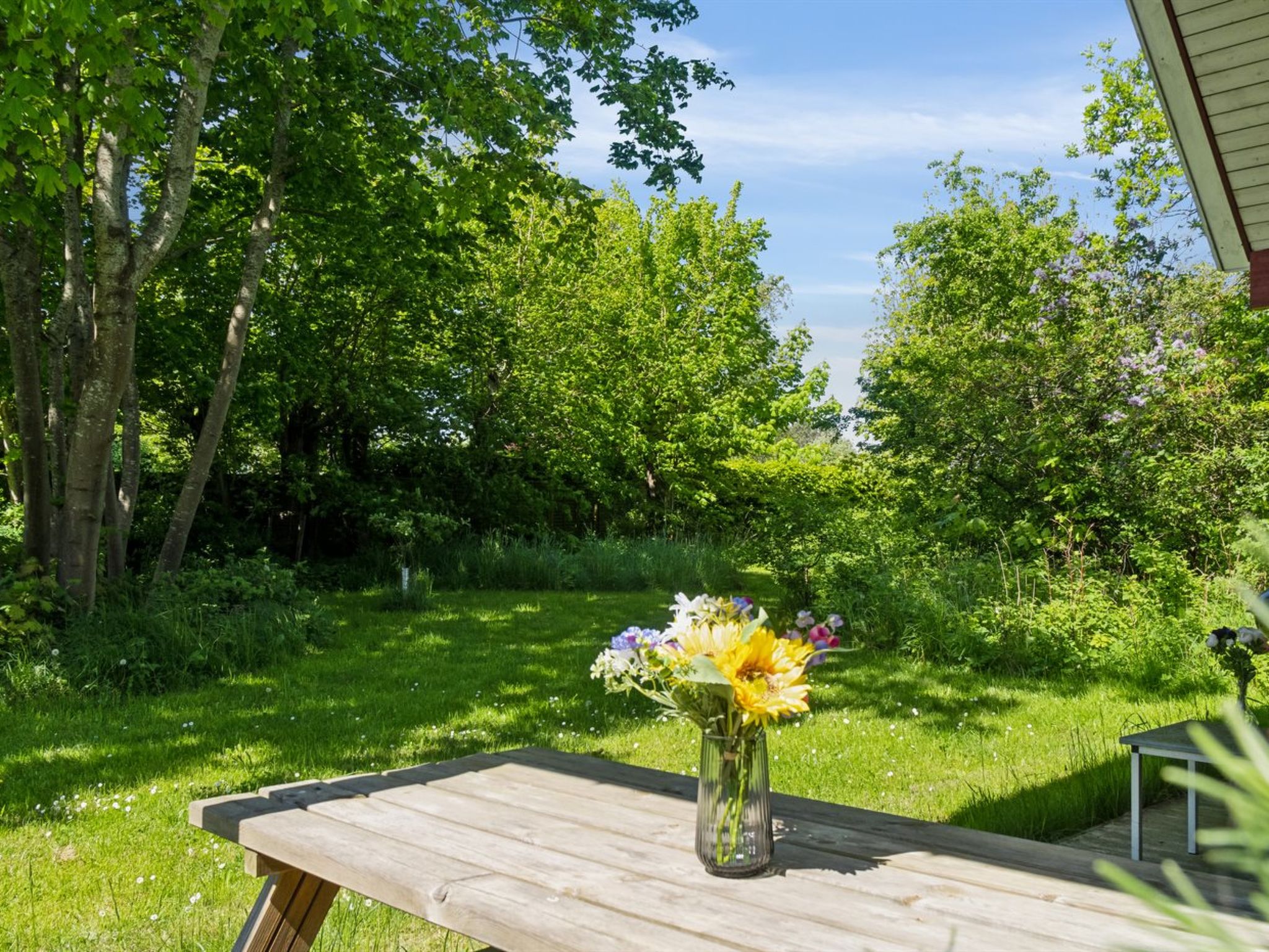 "Deljan" - 190m from the sea - Buiten