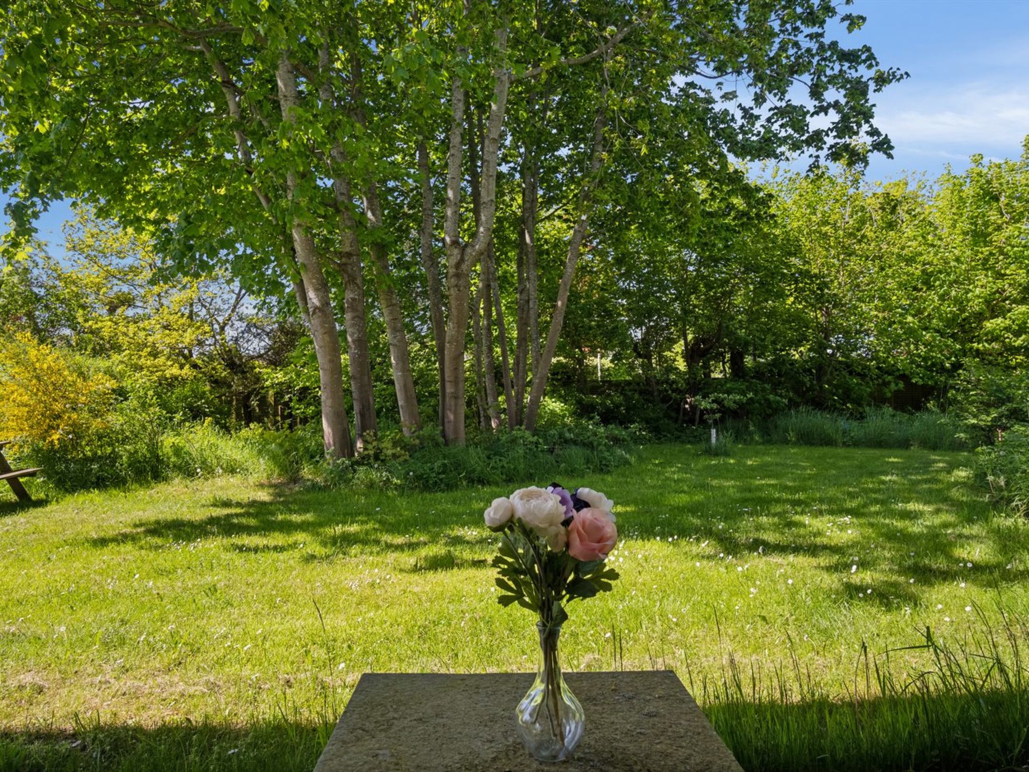 "Deljan" - 190m from the sea - Buiten
