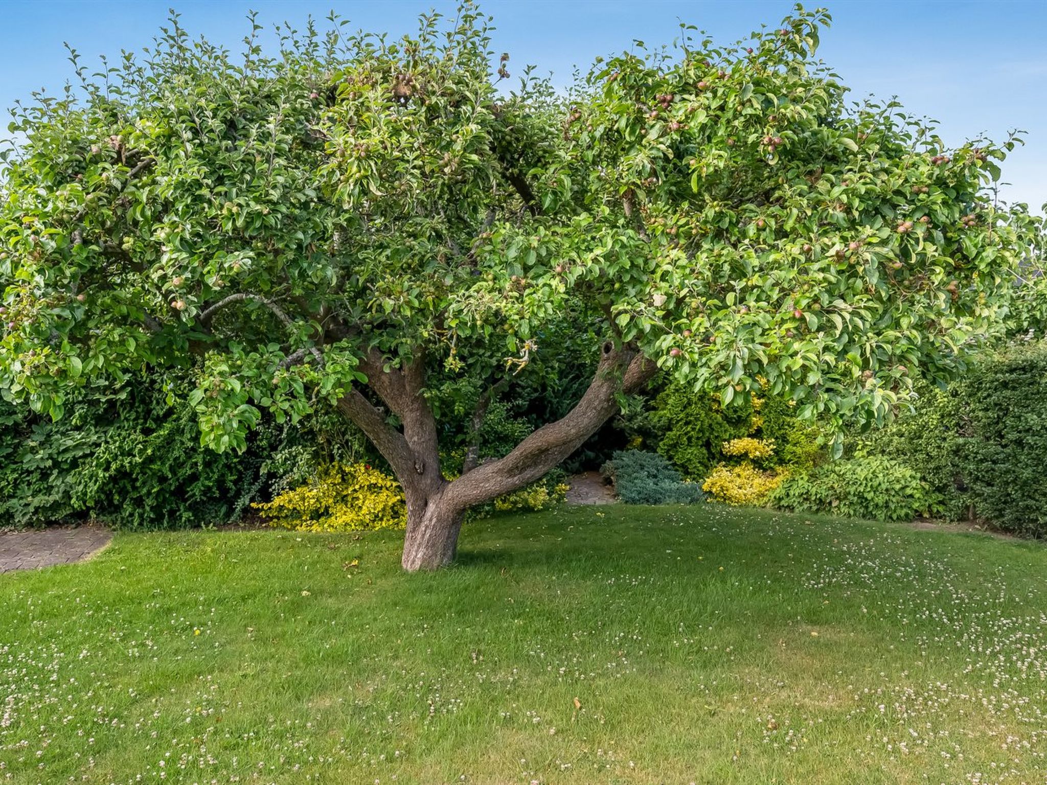 "Sampsa" - 75m from the sea - Buiten